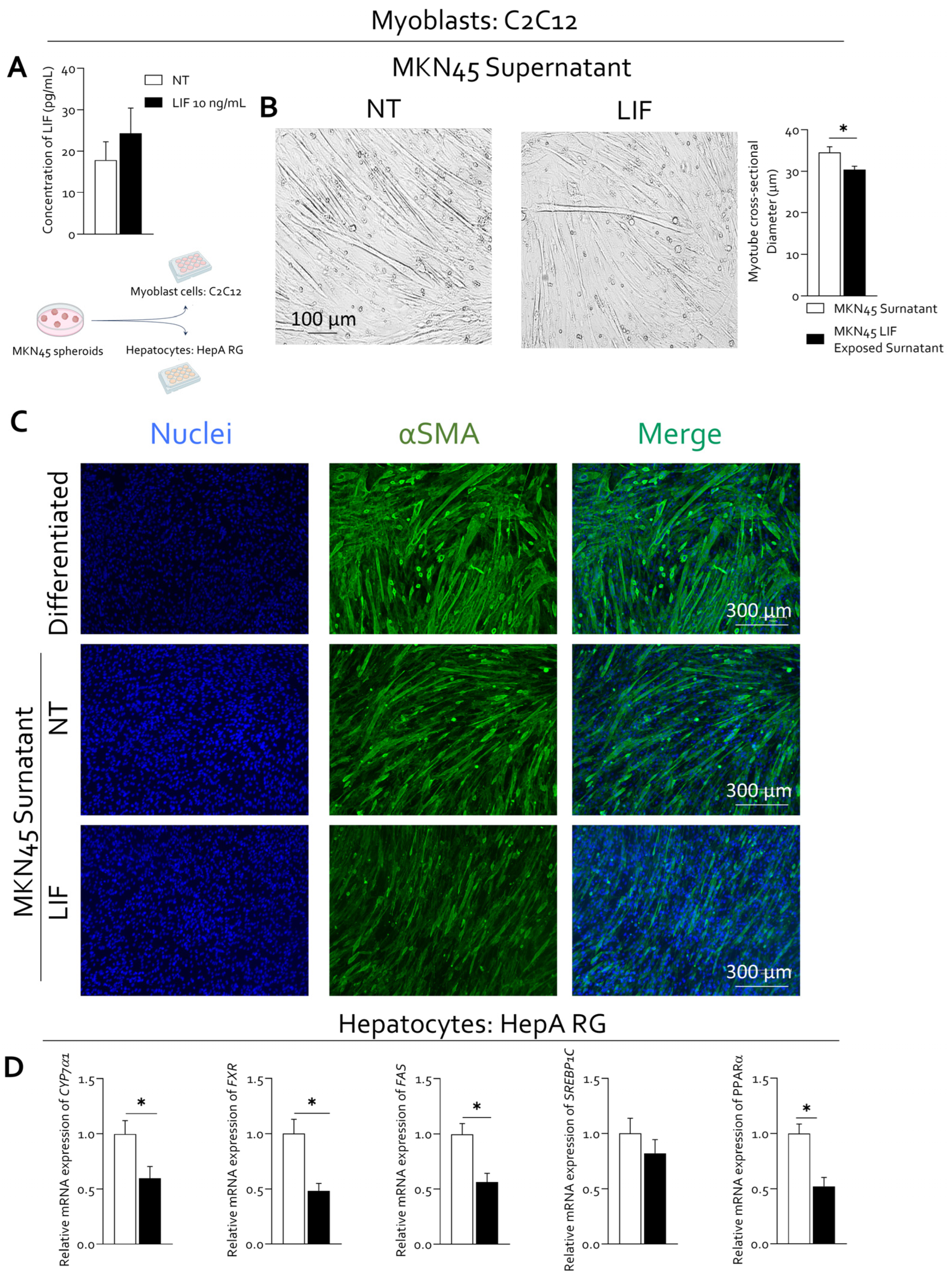 Cells 15 00355 g008
