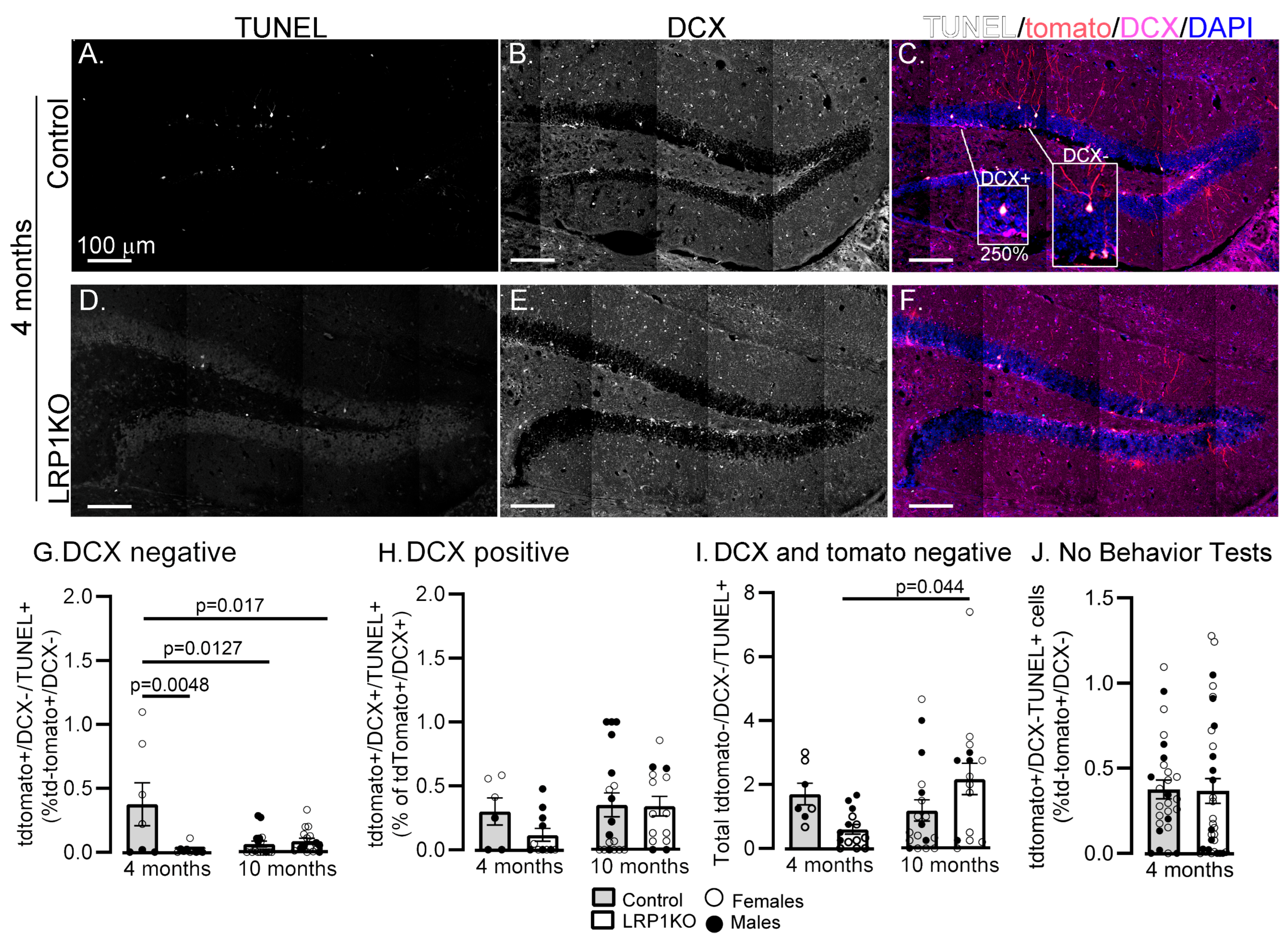 Cells 15 00435 g007 Cells 15 00435 g007