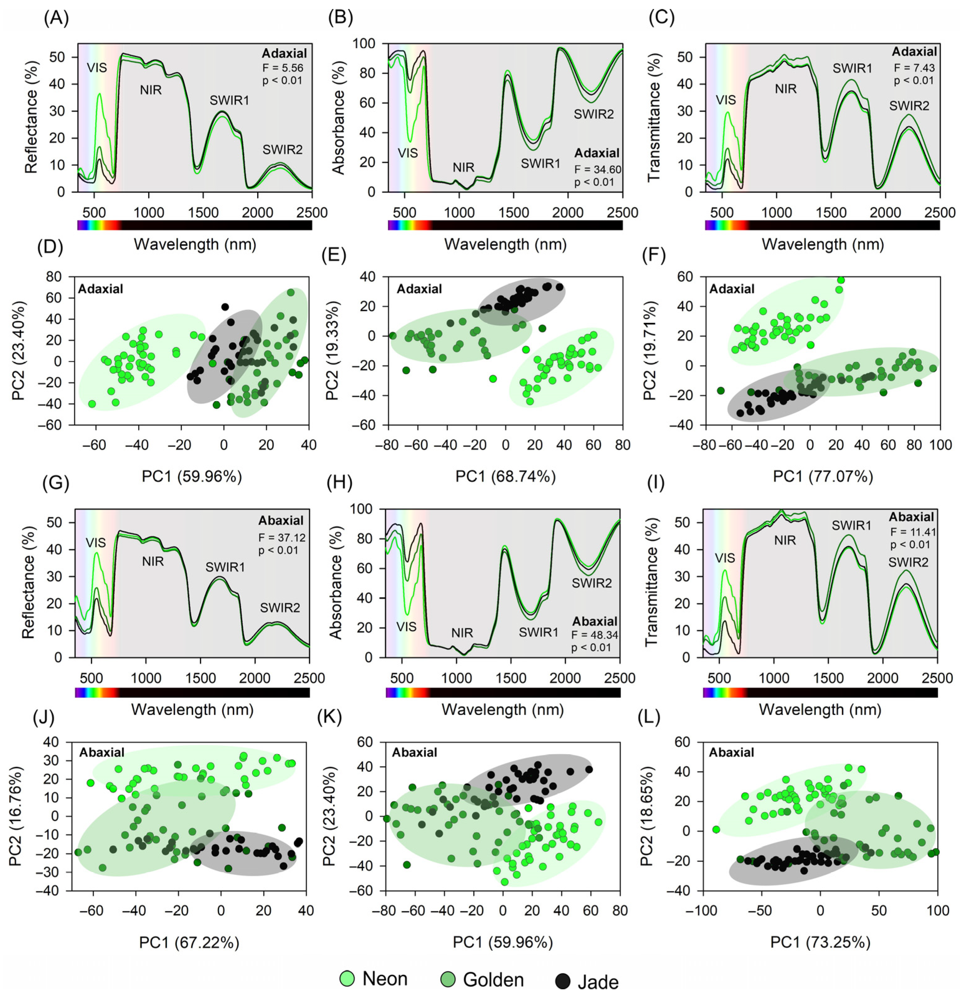 Cells 15 00514 g003 Cells 15 00514 g003