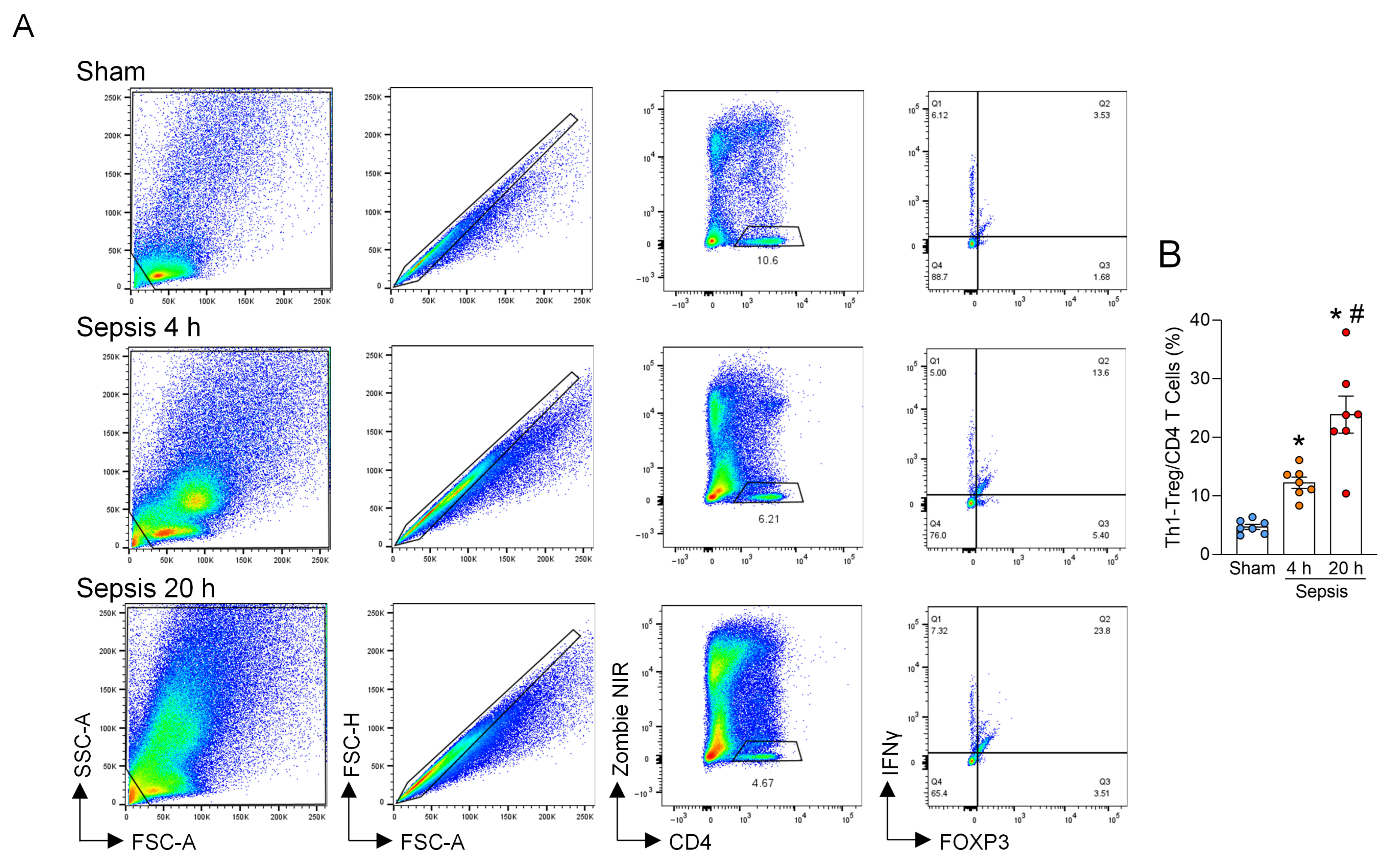 Cells 15 00521 g001