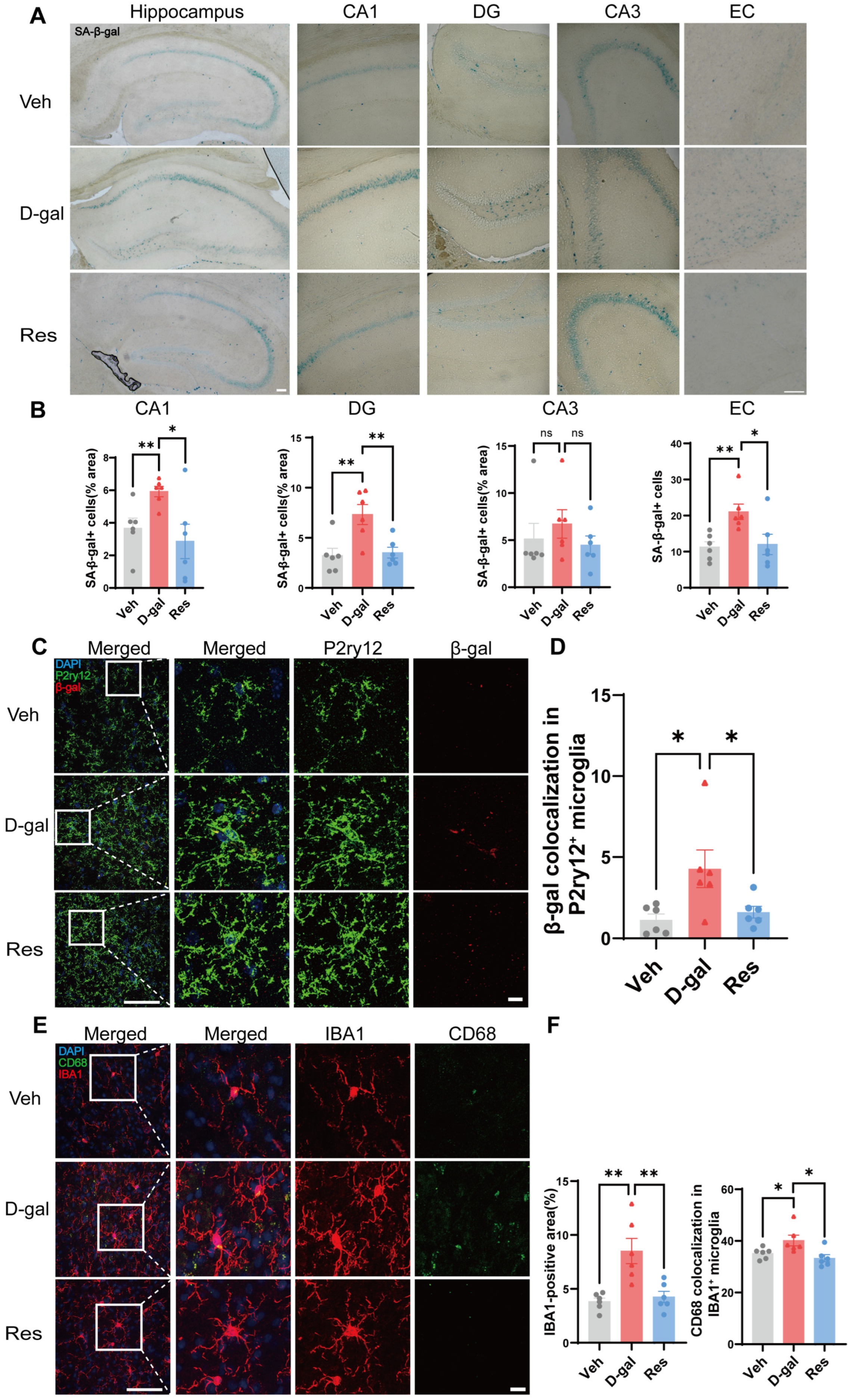 Cells 15 00523 g002