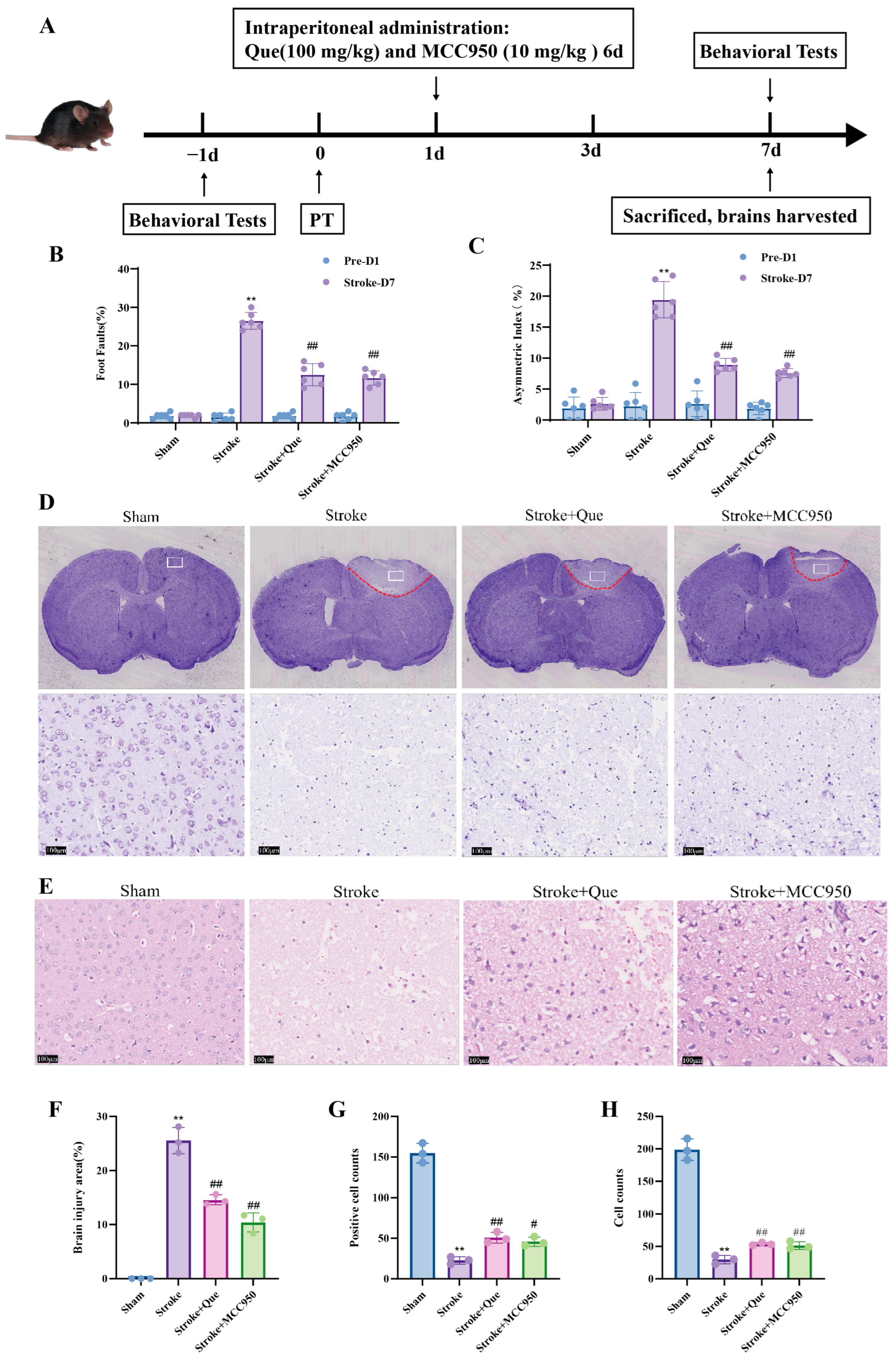 Cells 15 00552 g003