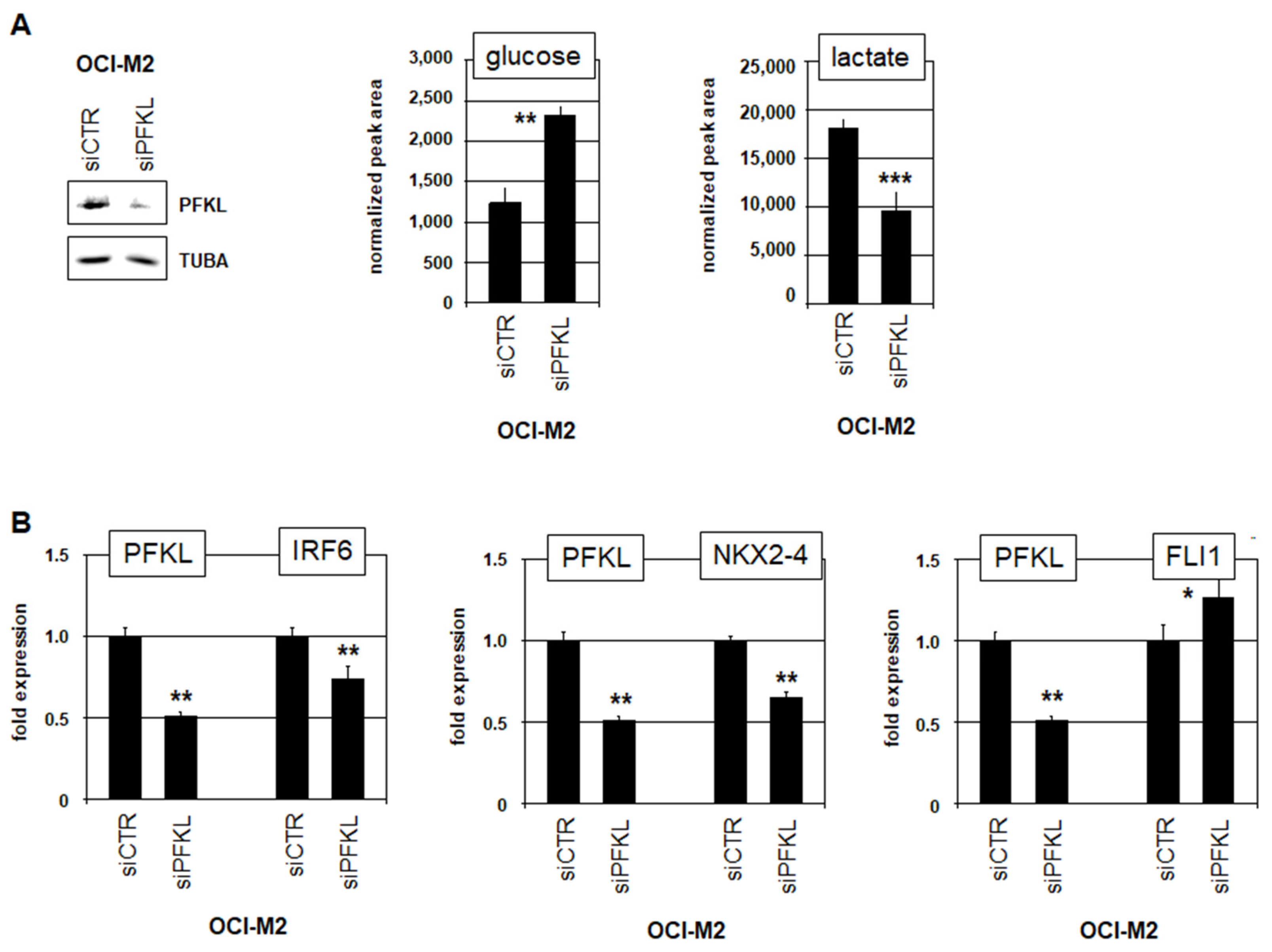 Cells 15 00569 g005