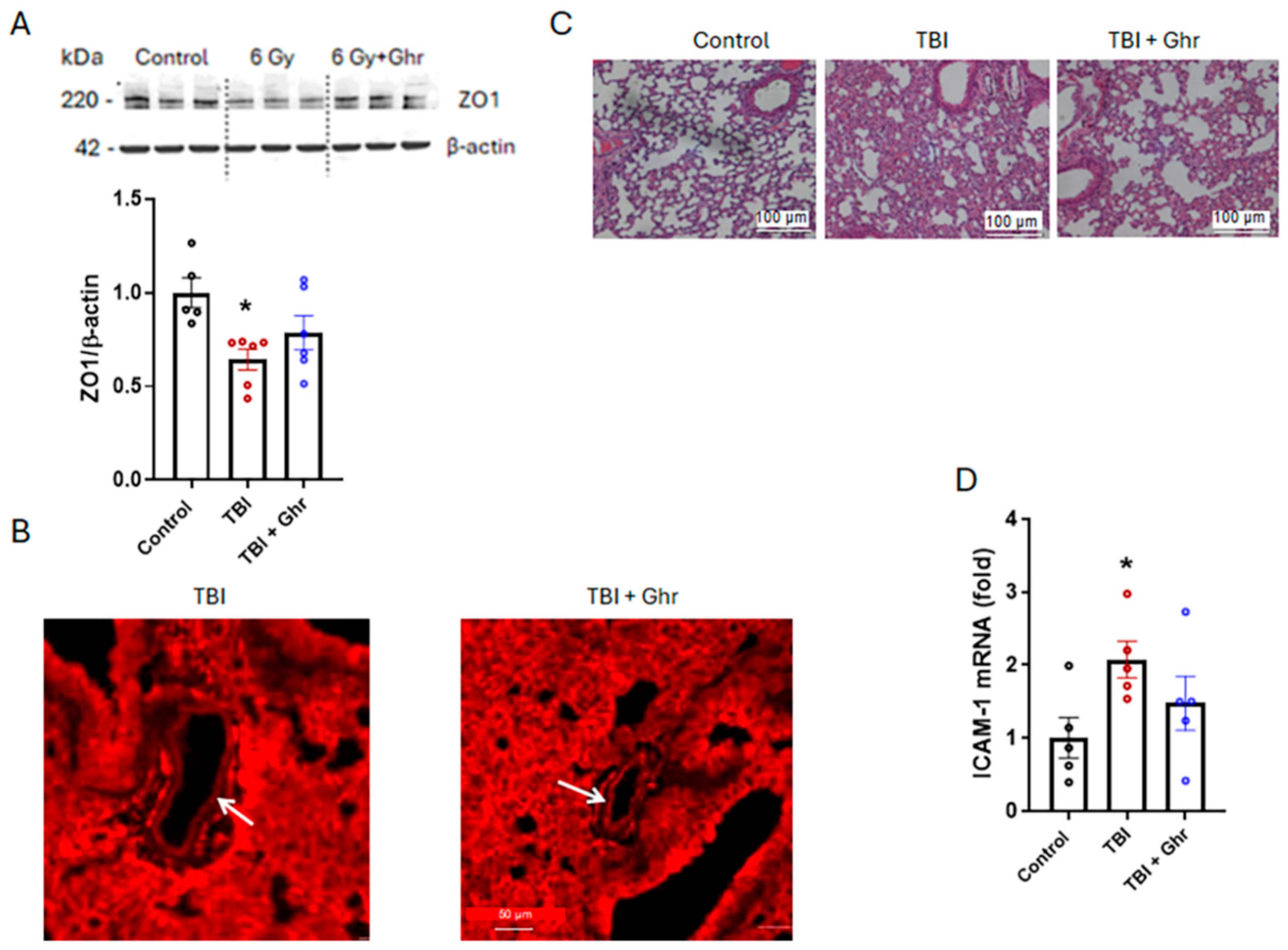 Cells 15 00586 g004 Cells 15 00586 g004