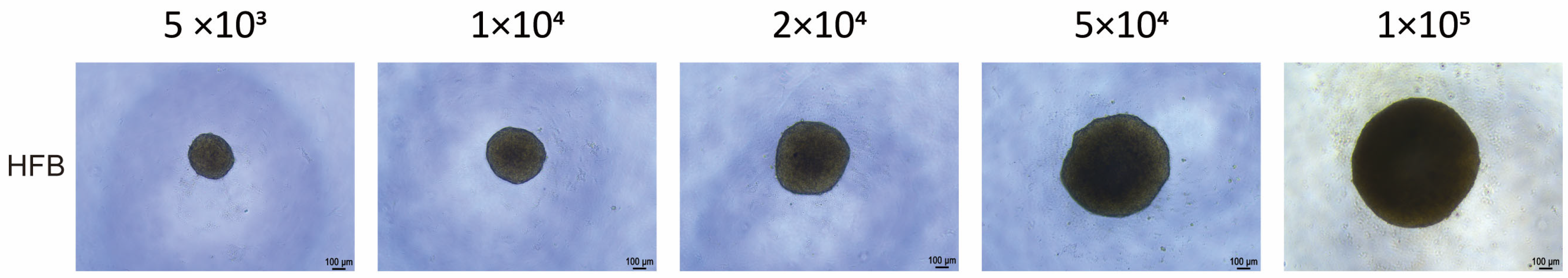 Cells 15 00631 g0a2 Cells 15 00631 g0a2