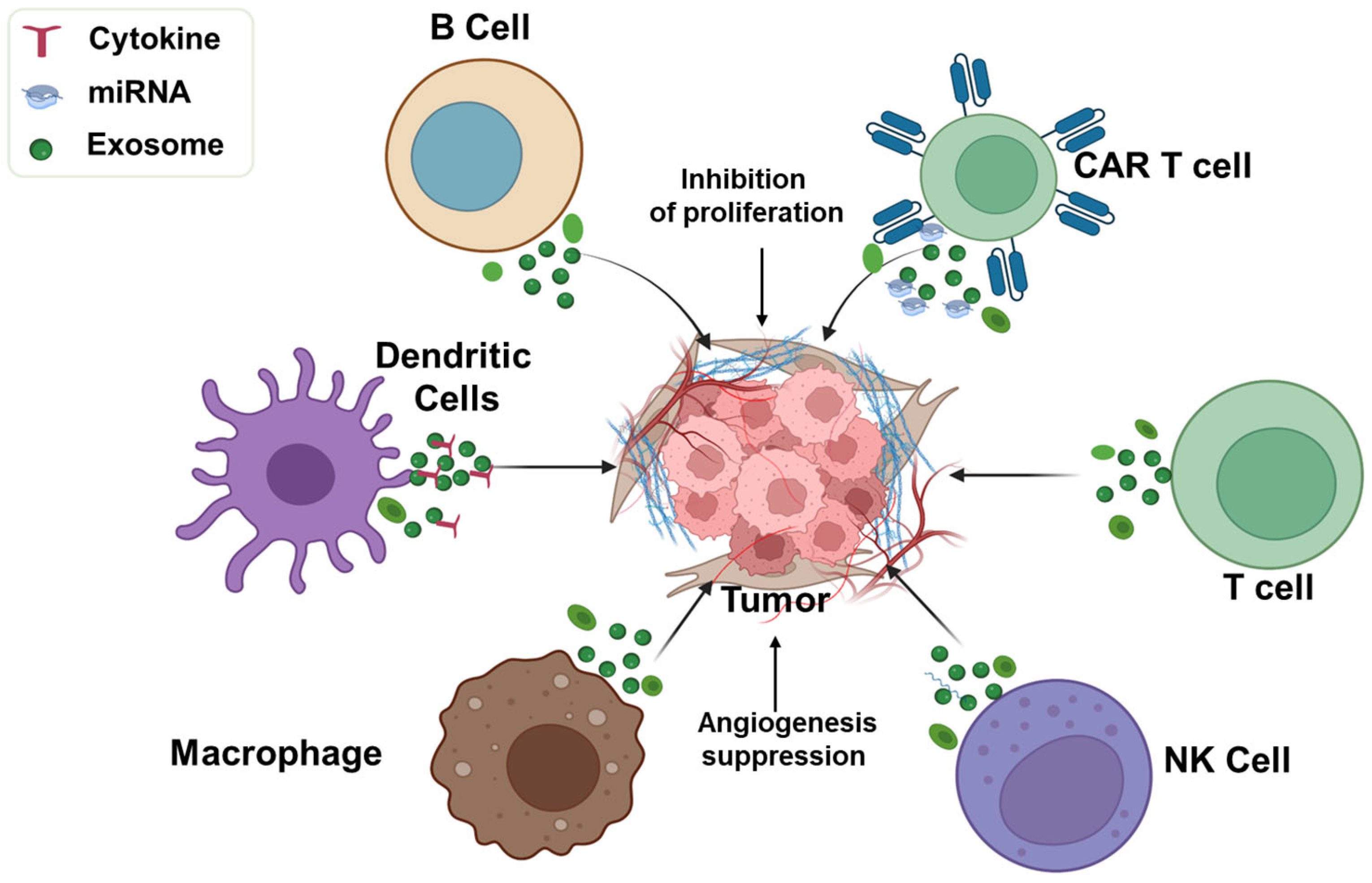 Diagnostic and Therapeutic Applications of Exosomes in Lung Cancer