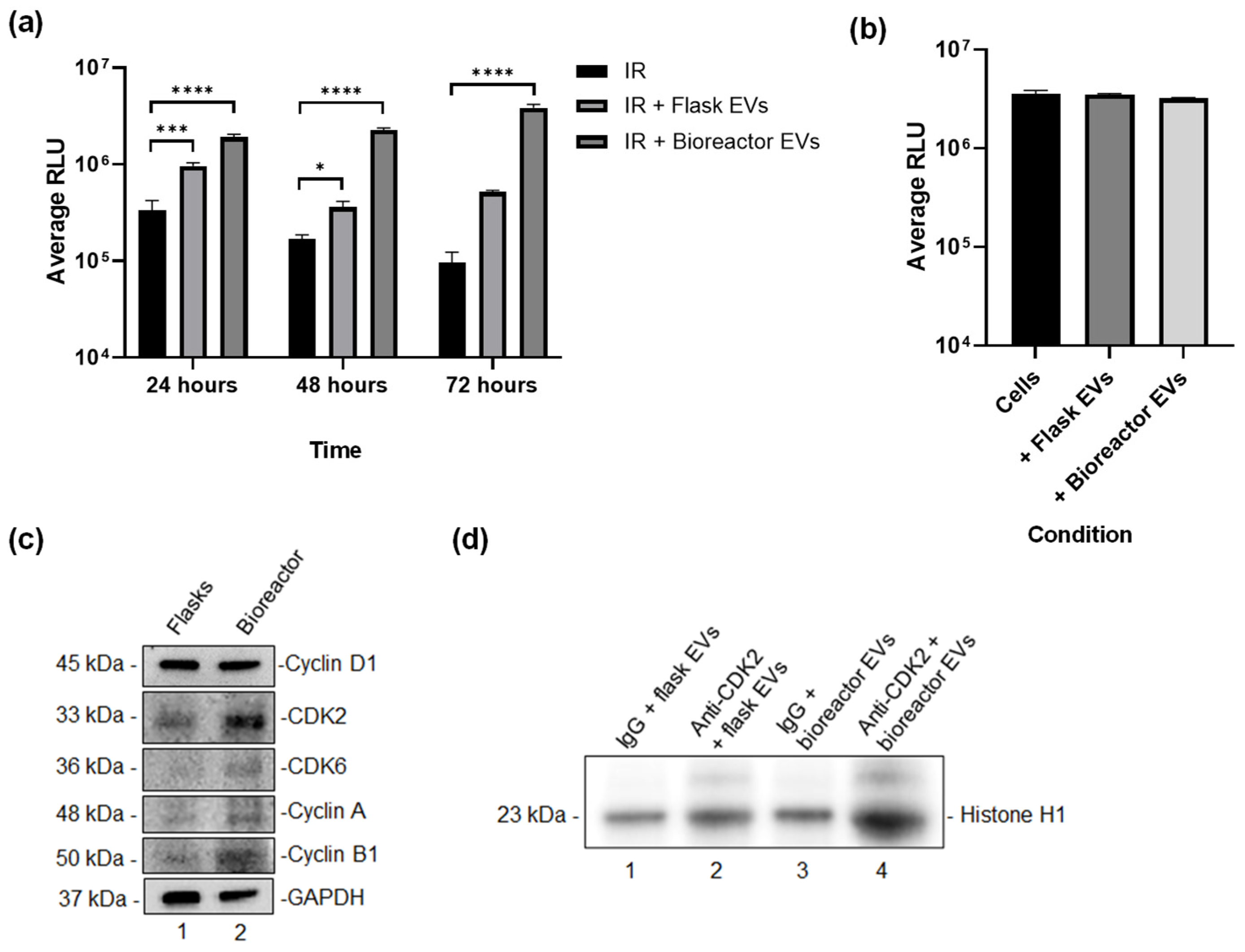 Cells 15 00654 g006