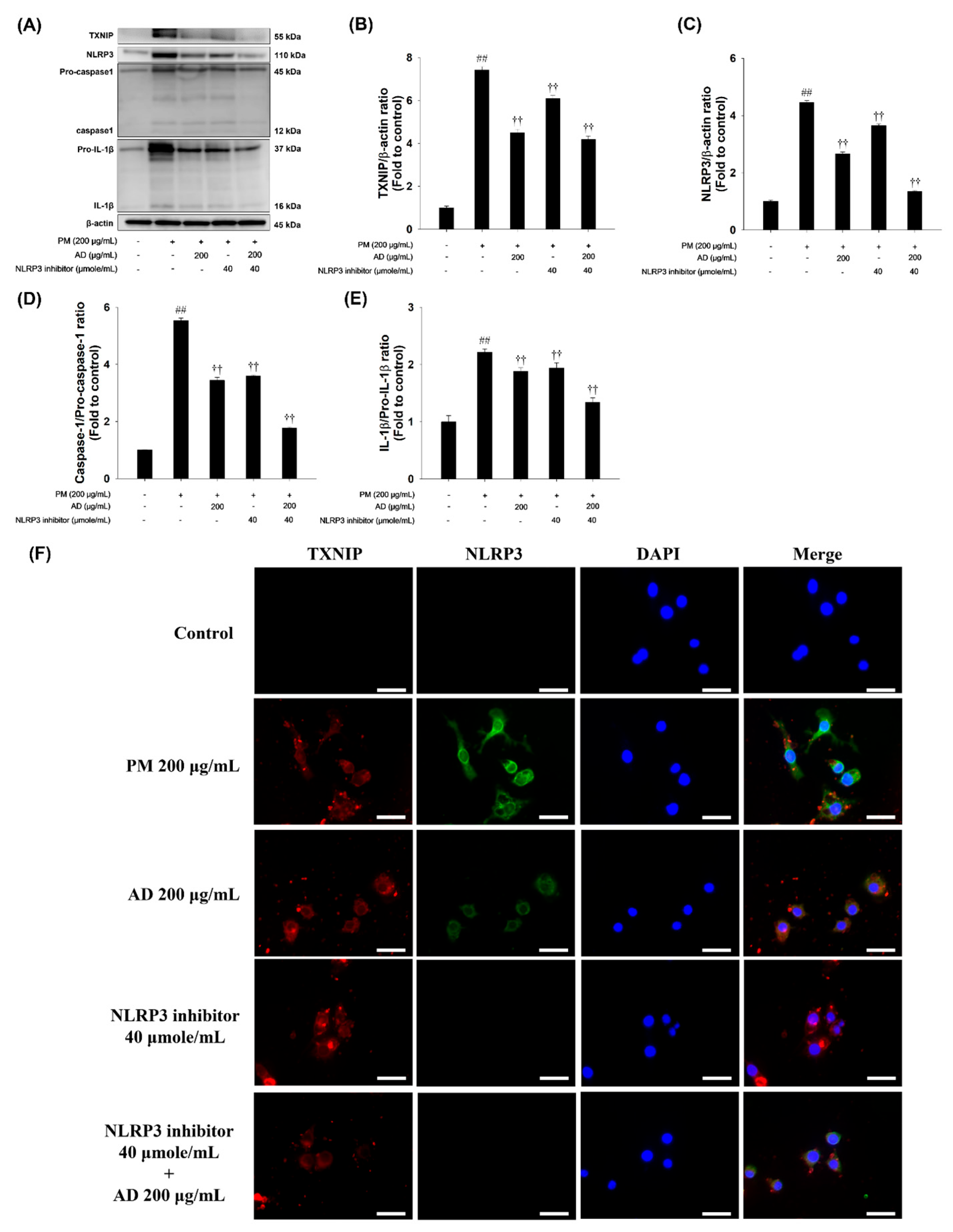 Cells 15 00666 g005