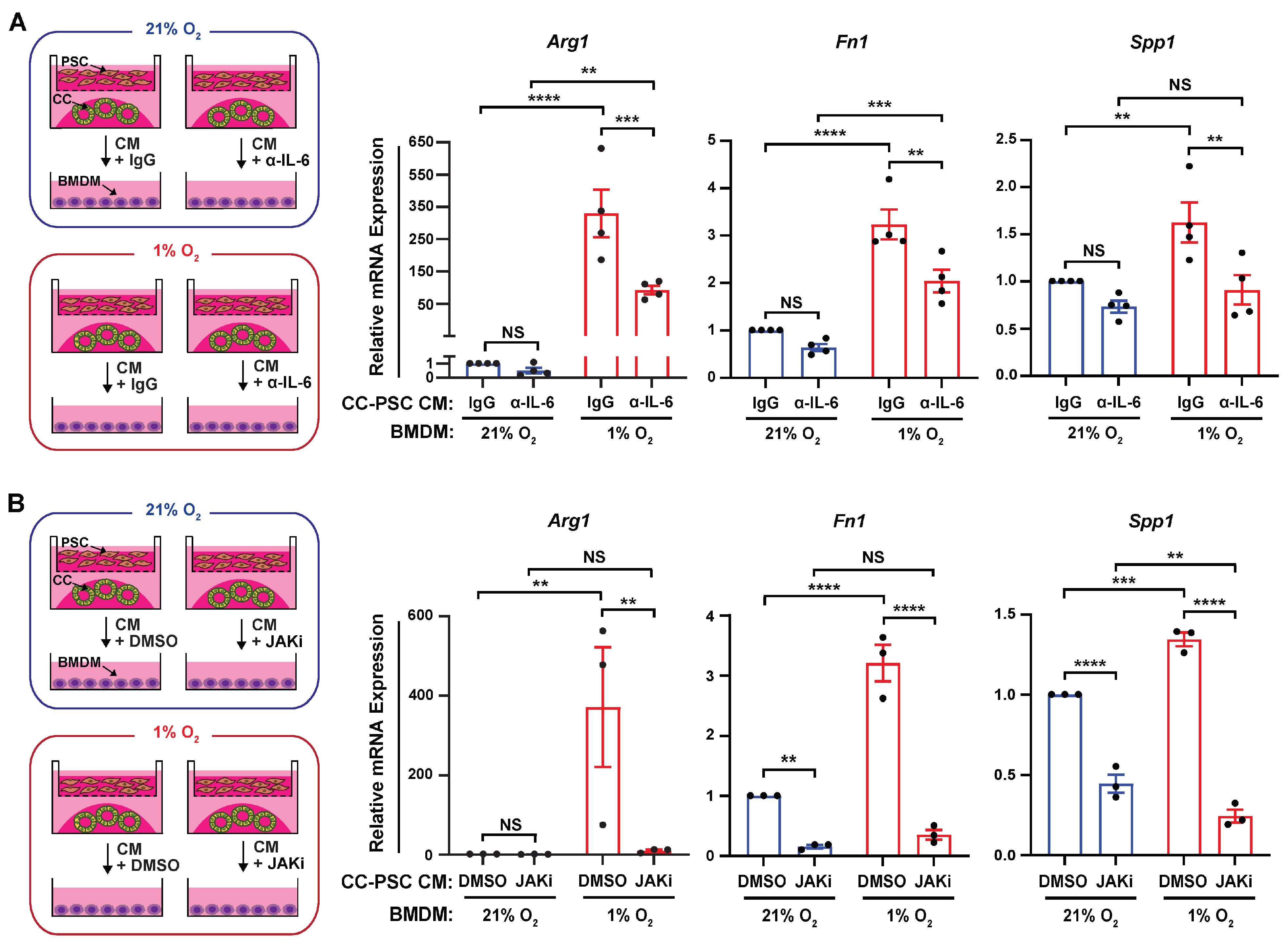 Cells 15 00683 g005