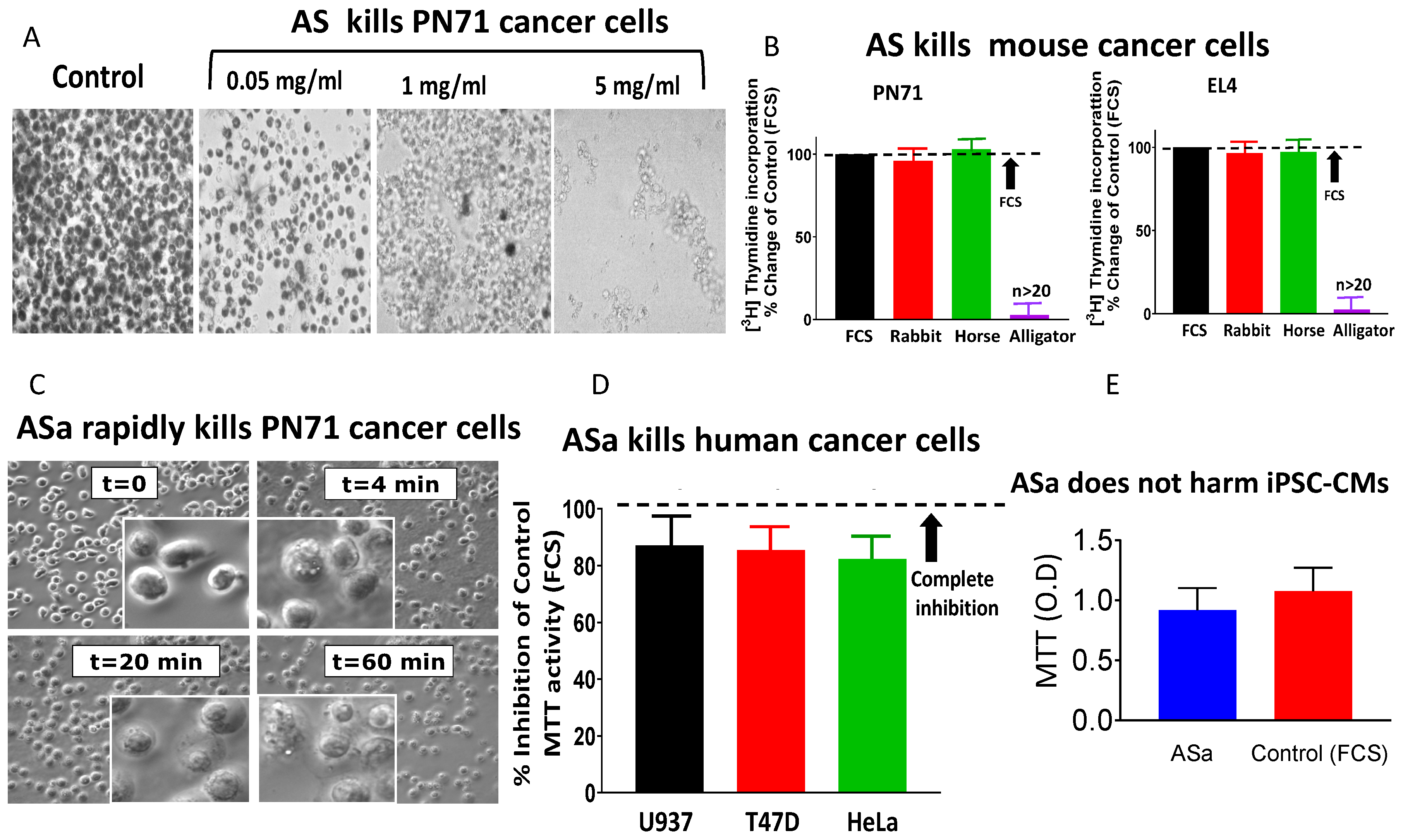 Cells 15 00749 g001 Cells 15 00749 g001