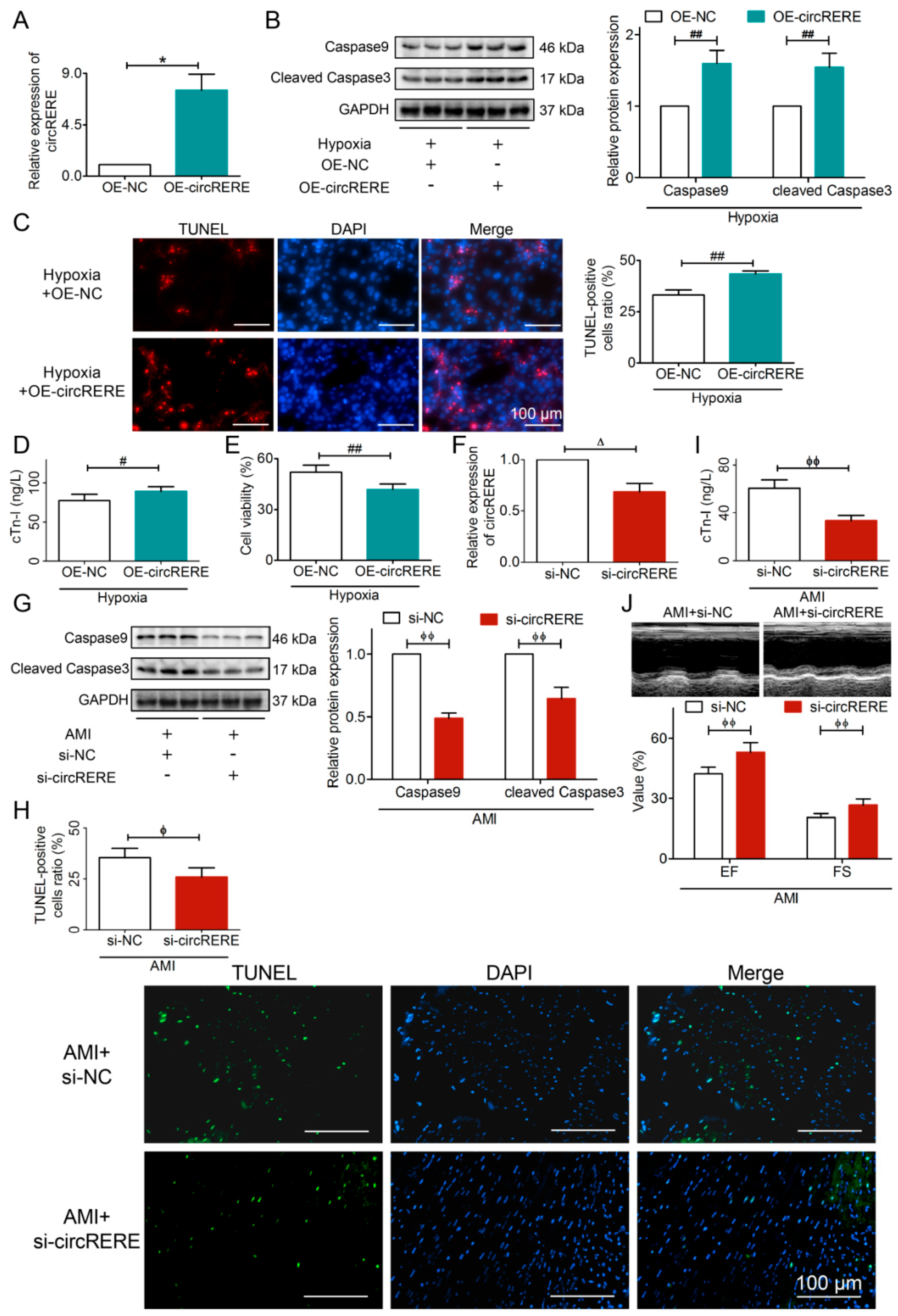 Cells 15 00757 g005
