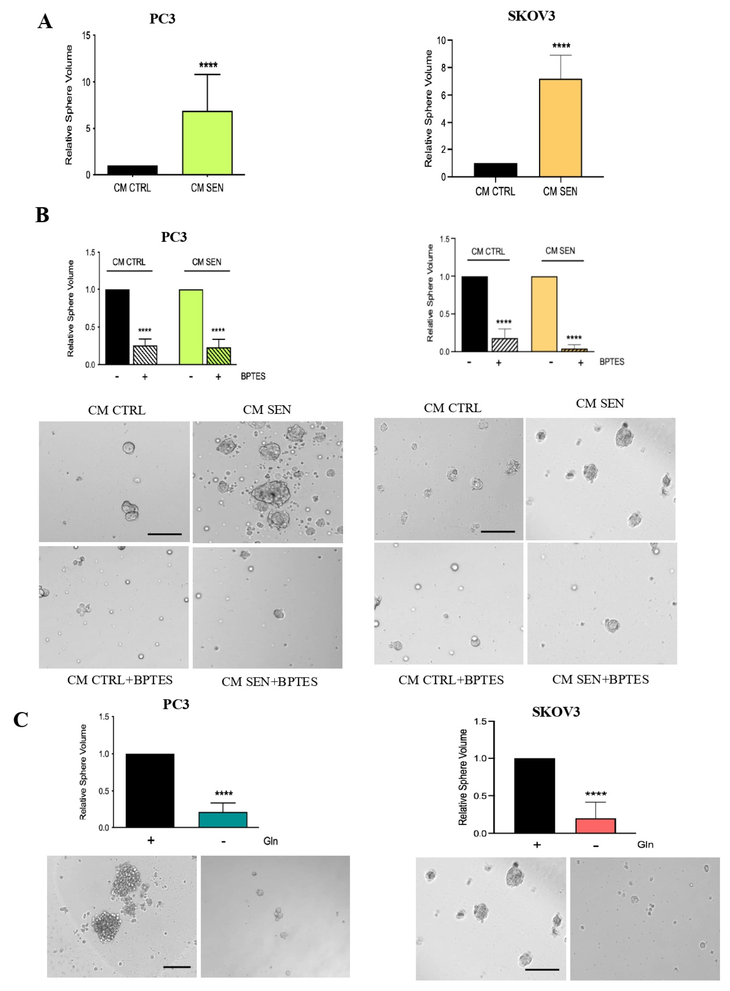 Cells 15 00770 g003