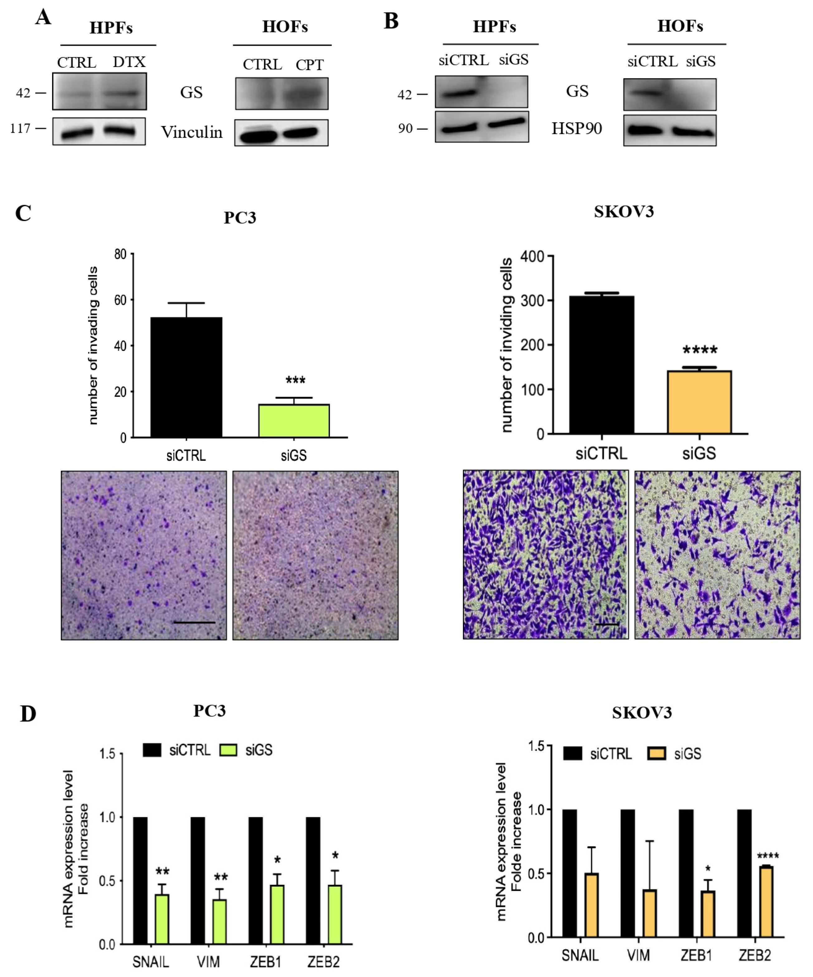 Cells 15 00770 g004