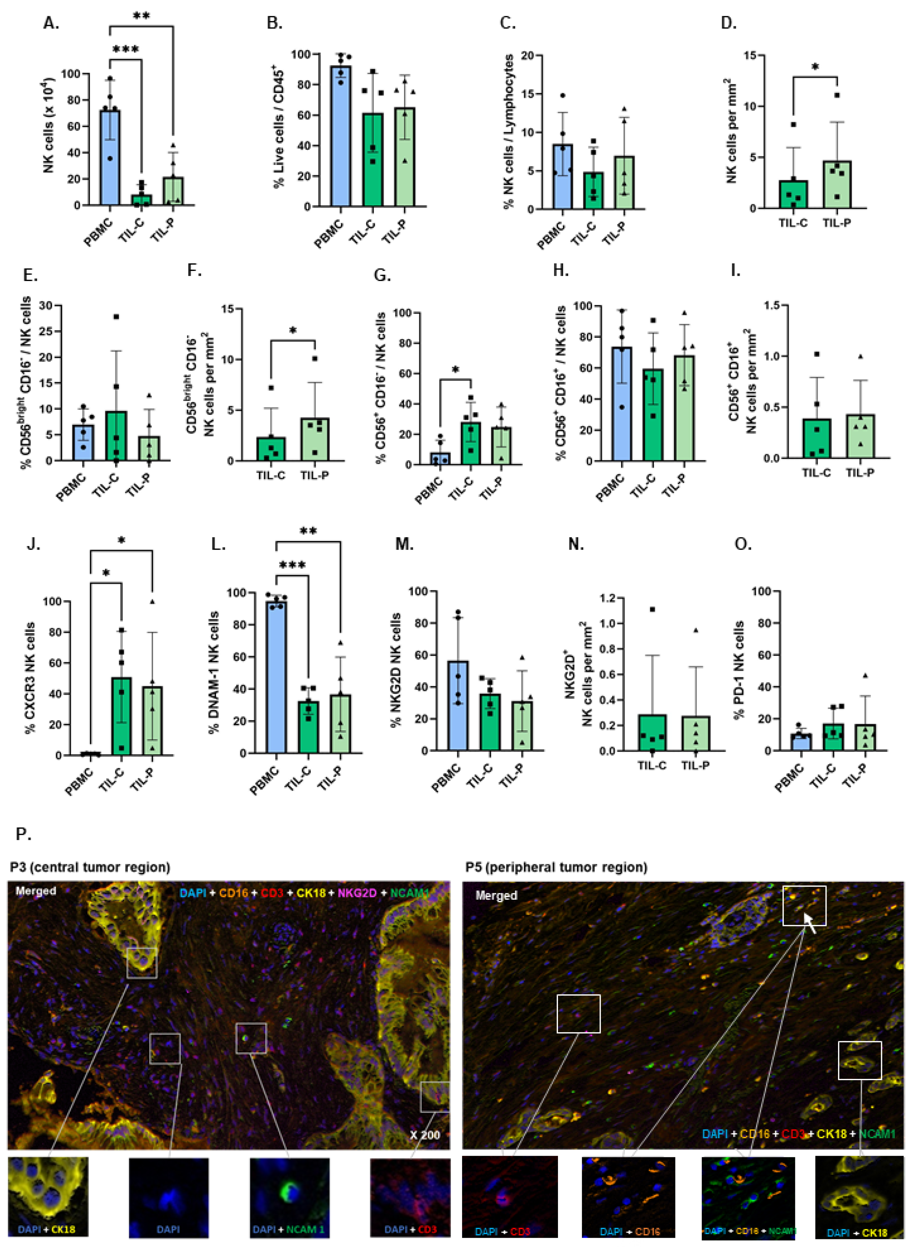 Cells 15 00797 g002 Cells 15 00797 g002