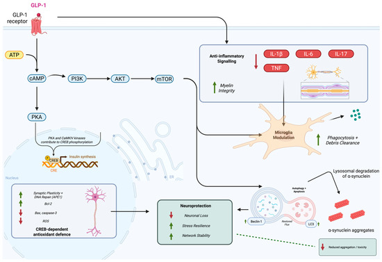 dpp4 and glp-1 combination GLP-1-RA and DPP-4 inhibitors in the management of type 2 diabetes