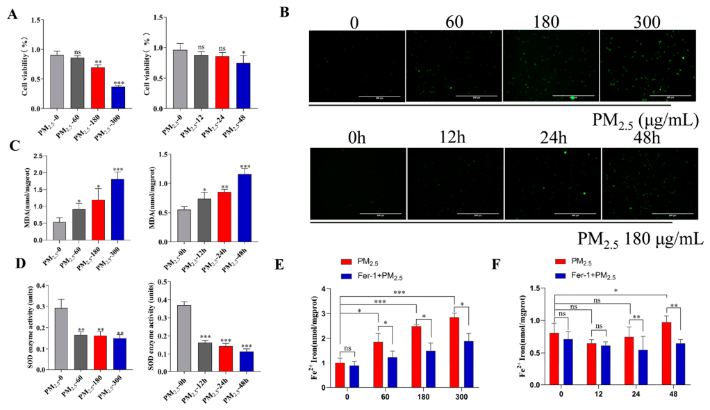 Cells 15 00823 g001 Cells 15 00823 g001