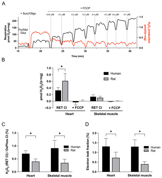 Mitochondrial ROS Production at Complexes I and III in Human Myocardium ...