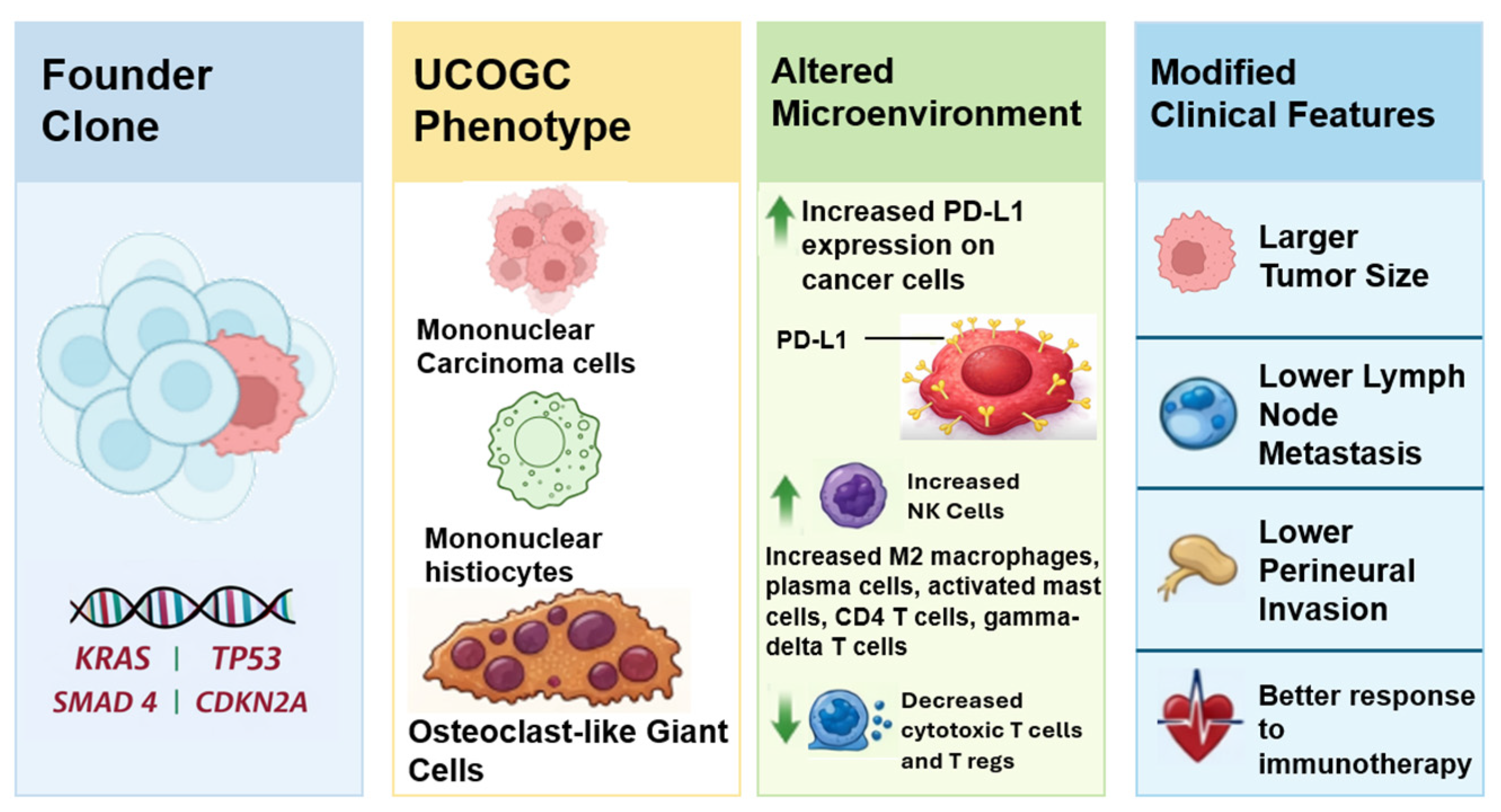 Cells 15 00837 g002 Cells 15 00837 g002