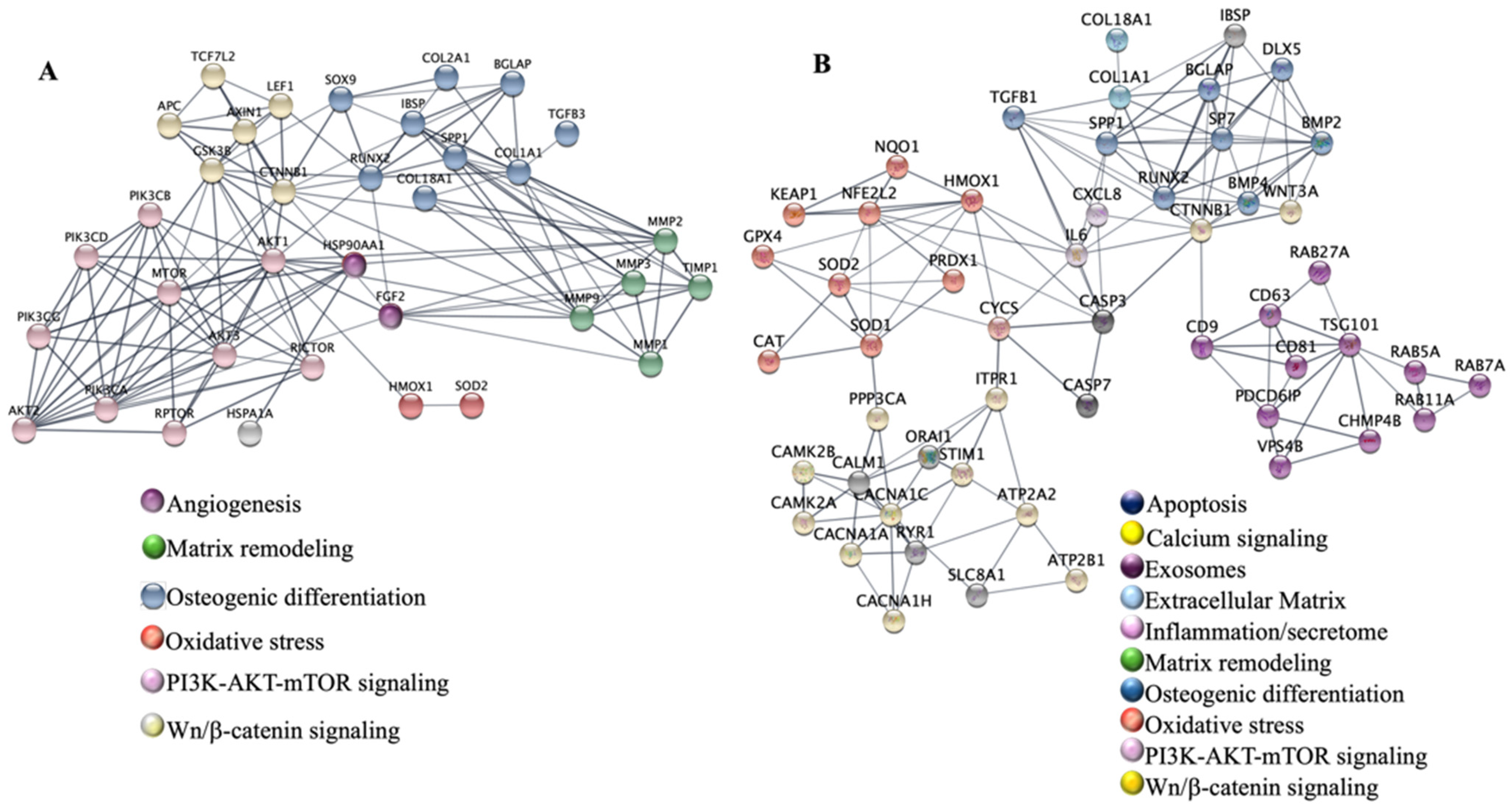 Cell Fate Modulation Wavelength-Dependent Modulation of Mesenchymal Stem Cell Fate: A ...