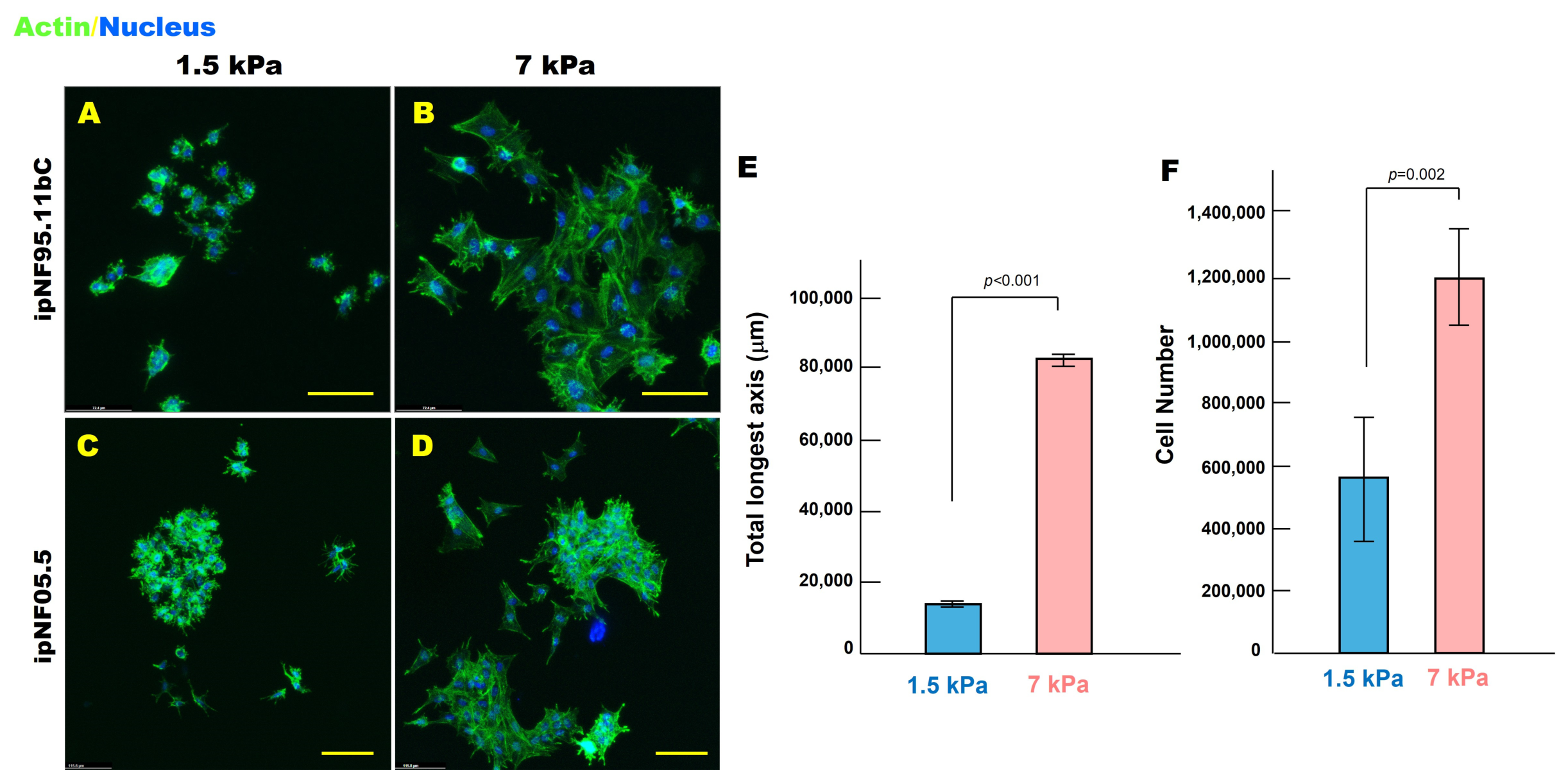 Cells 15 00877 g001 Cells 15 00877 g001