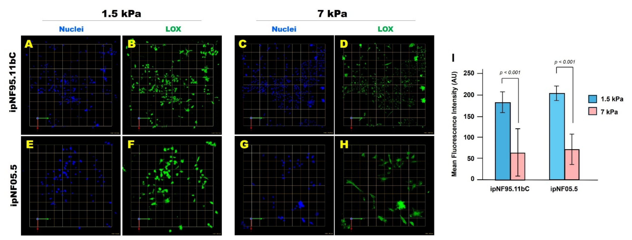 Cells 15 00877 g003 Cells 15 00877 g003