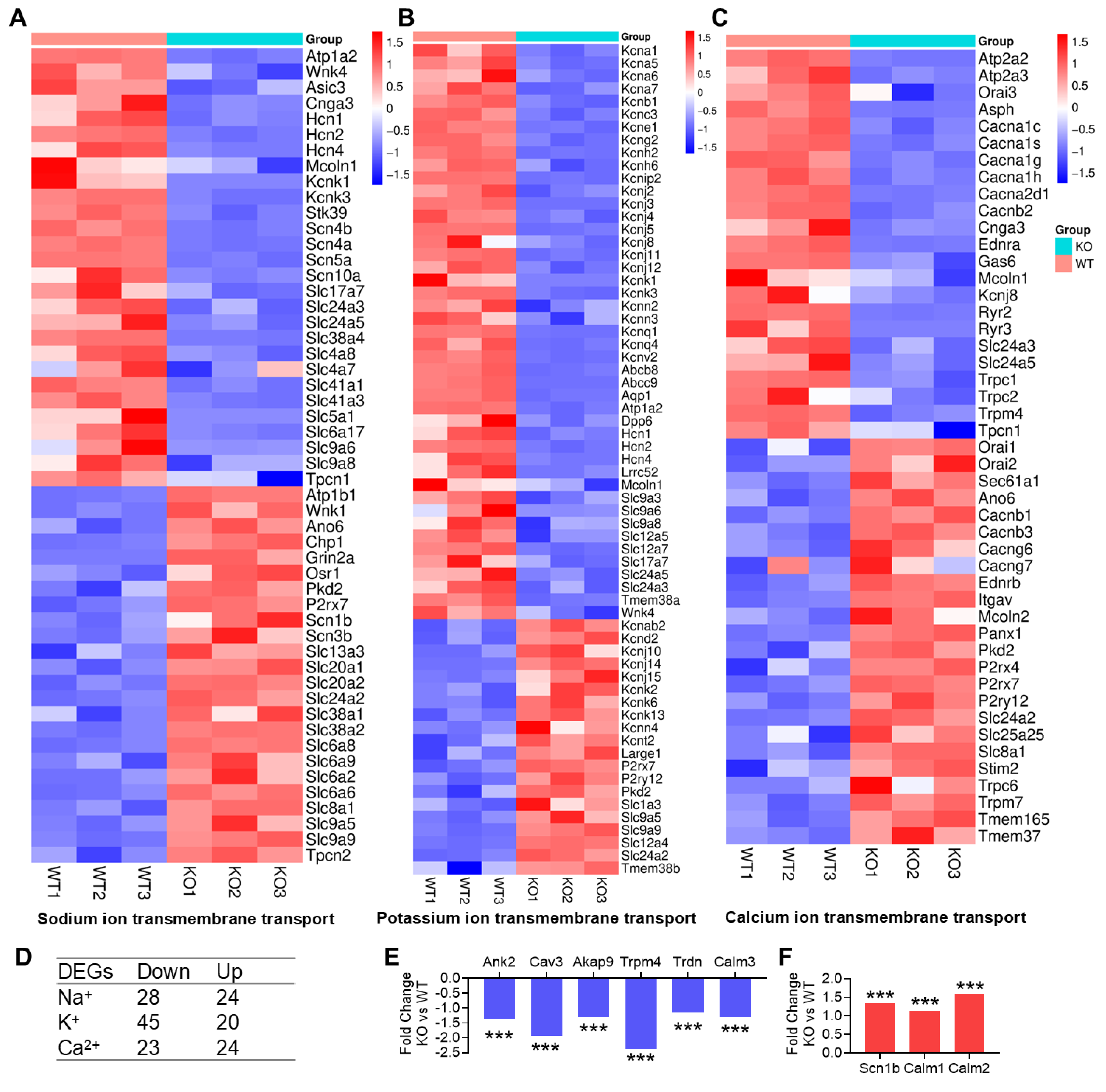 Cells 15 00902 g002 Cells 15 00902 g002