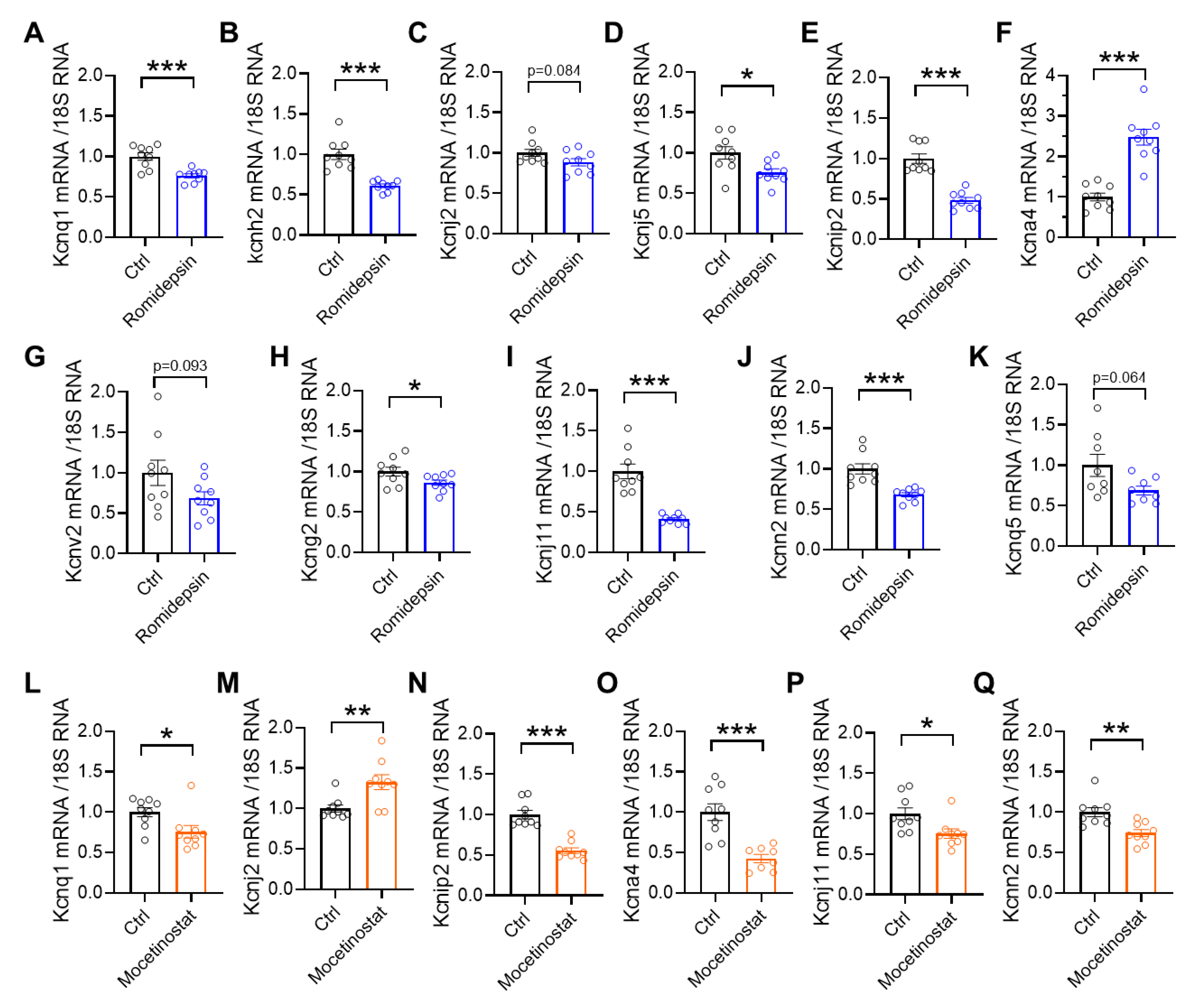 Cells 15 00902 g007 Cells 15 00902 g007