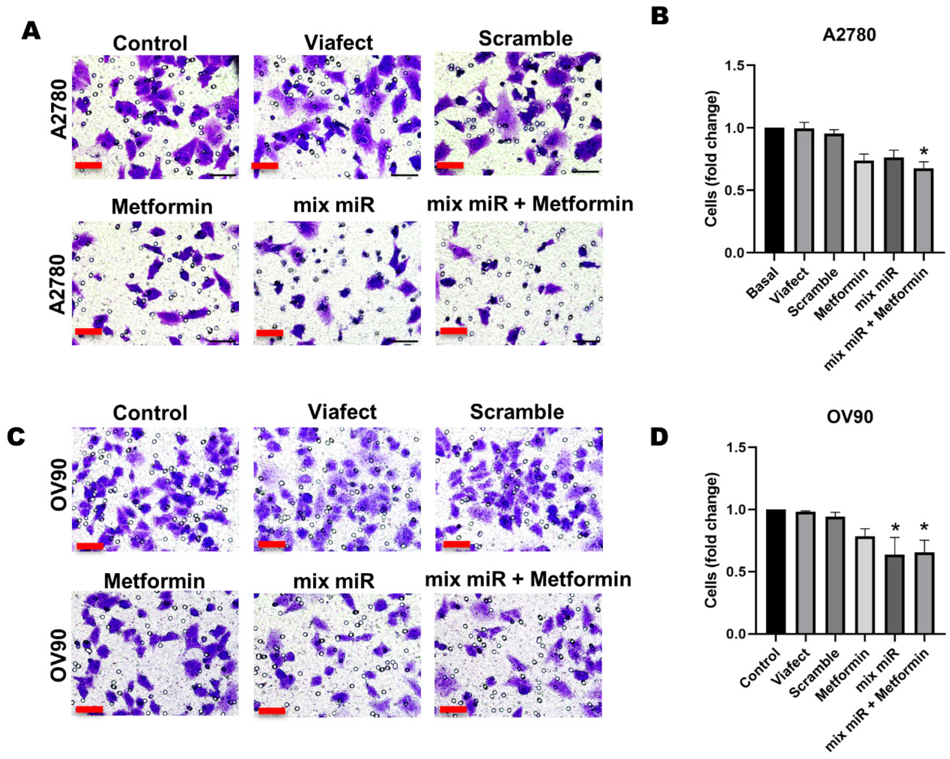 Cells 15 00933 g003 Cells 15 00933 g003
