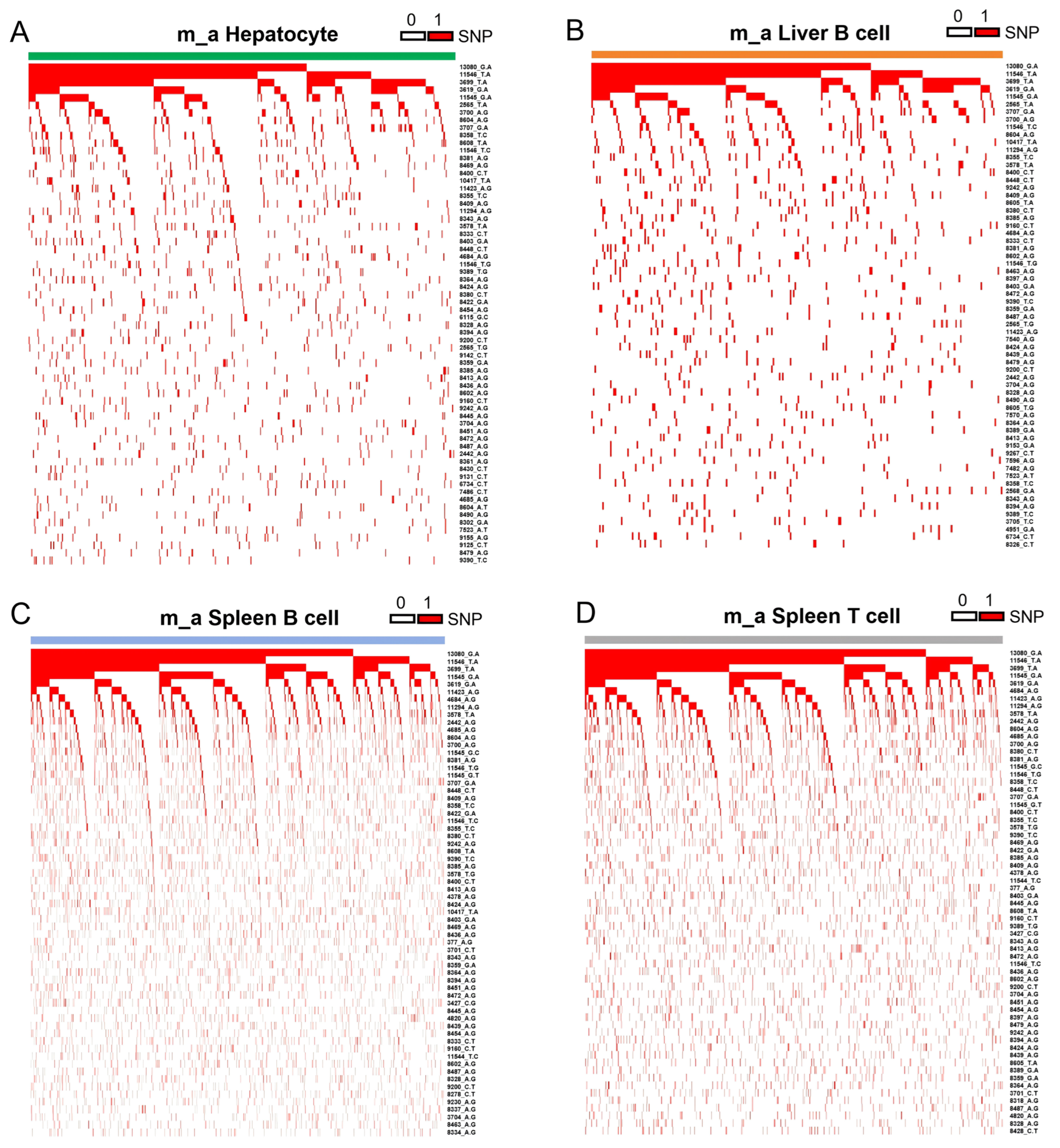 Cells 15 00947 g005 Cells 15 00947 g005