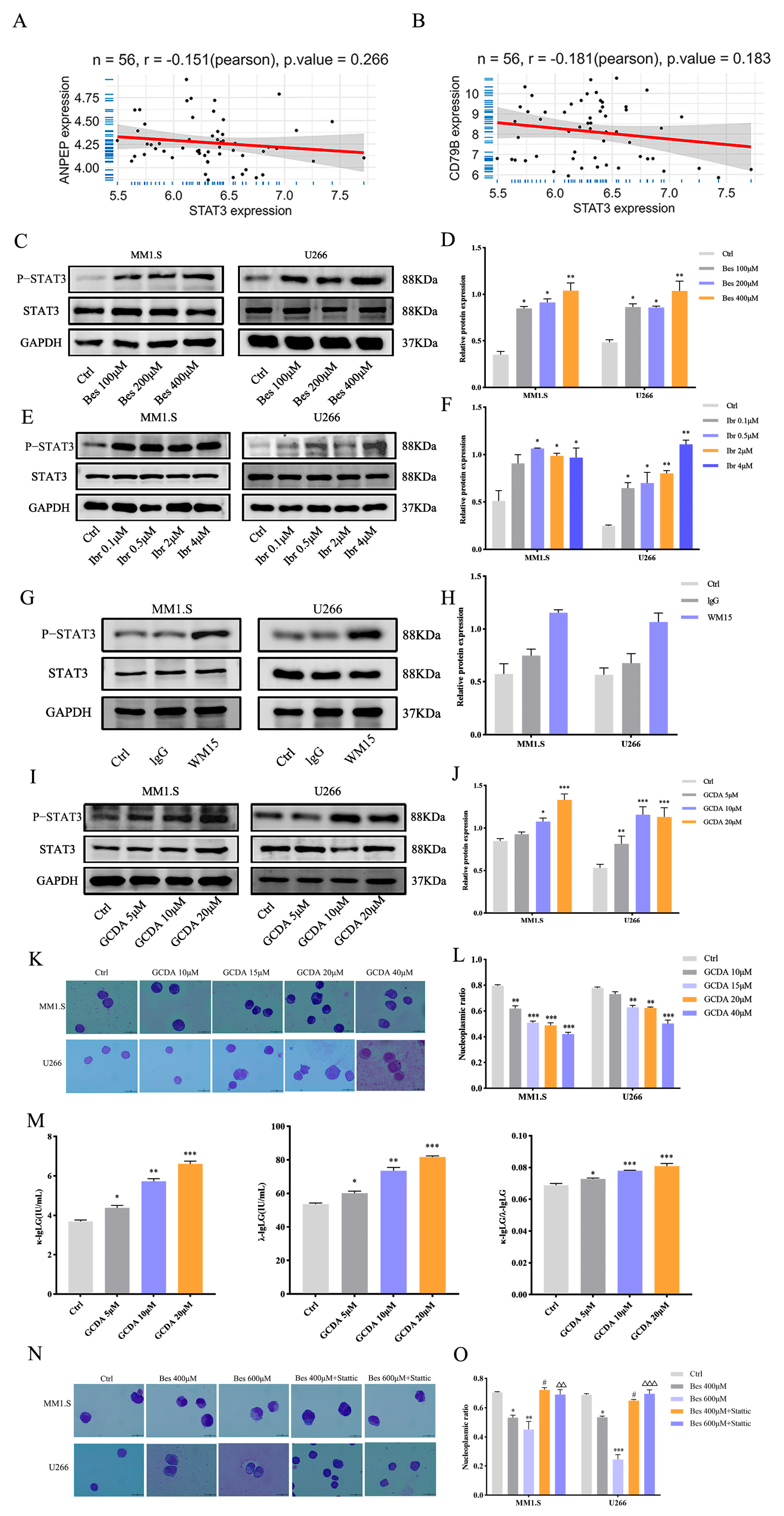 Cells 15 00949 g003 Cells 15 00949 g003