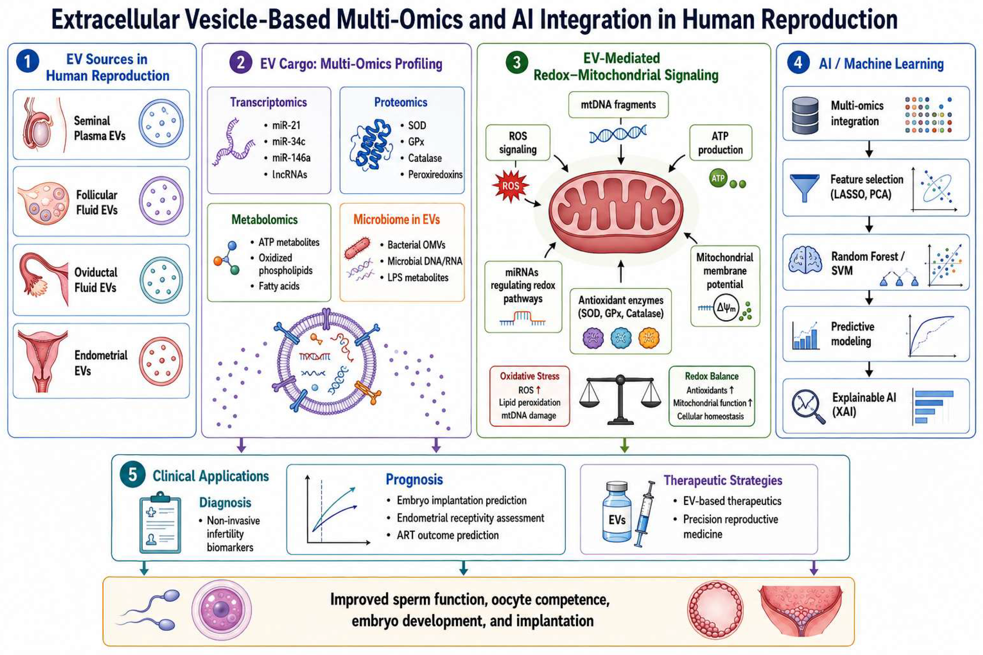 Cells 15 00955 g001 Cells 15 00955 g001