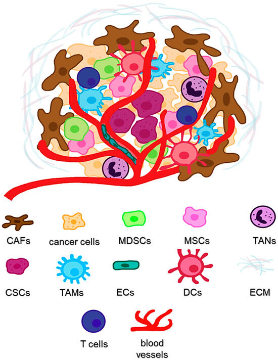 The Niche Awakens: Comprehension of Cancer Stem Cells’ Microenvironment ...