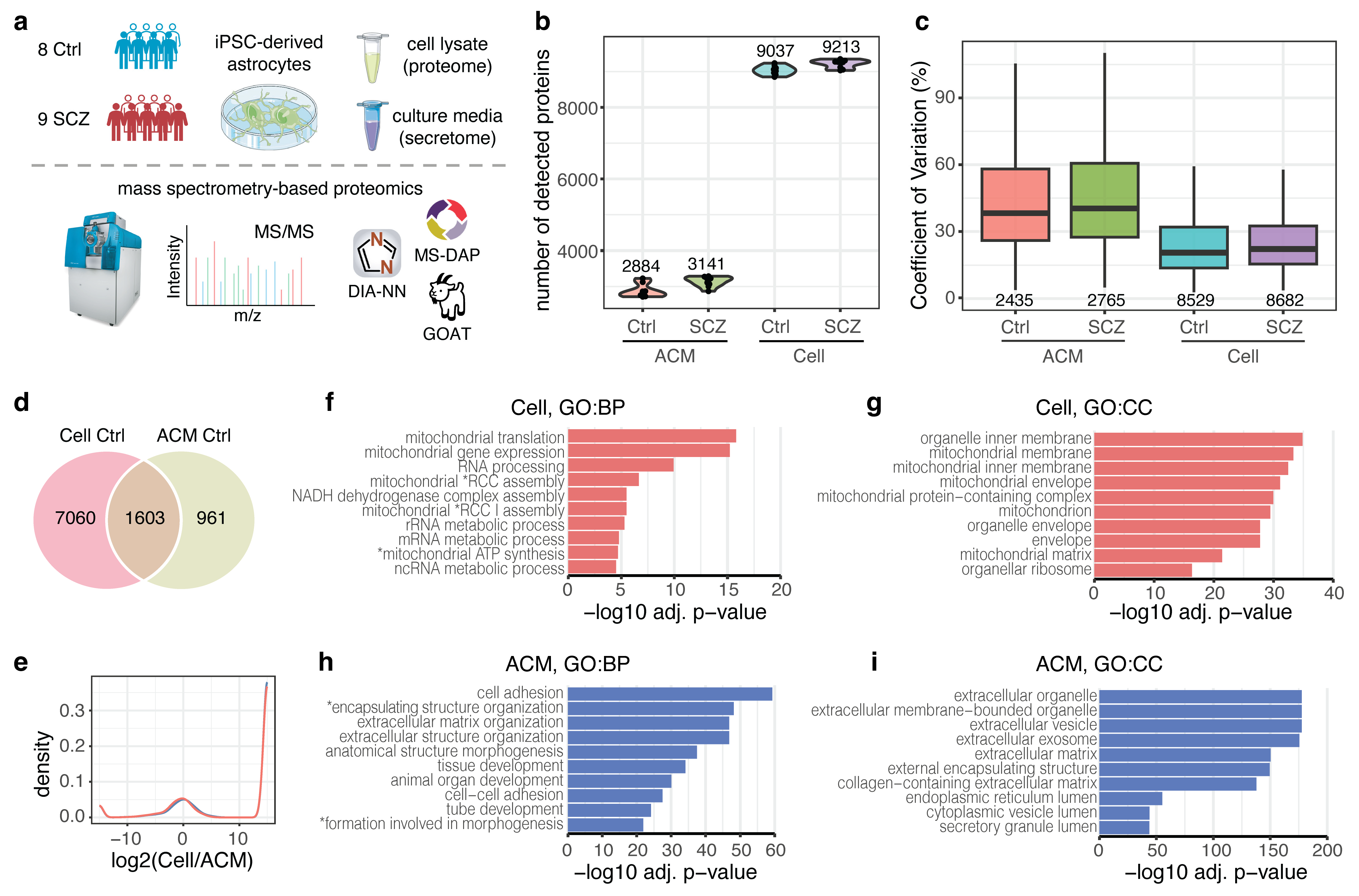 Multimodal Proteomics Reveals Dysregulated Secretion and ECM