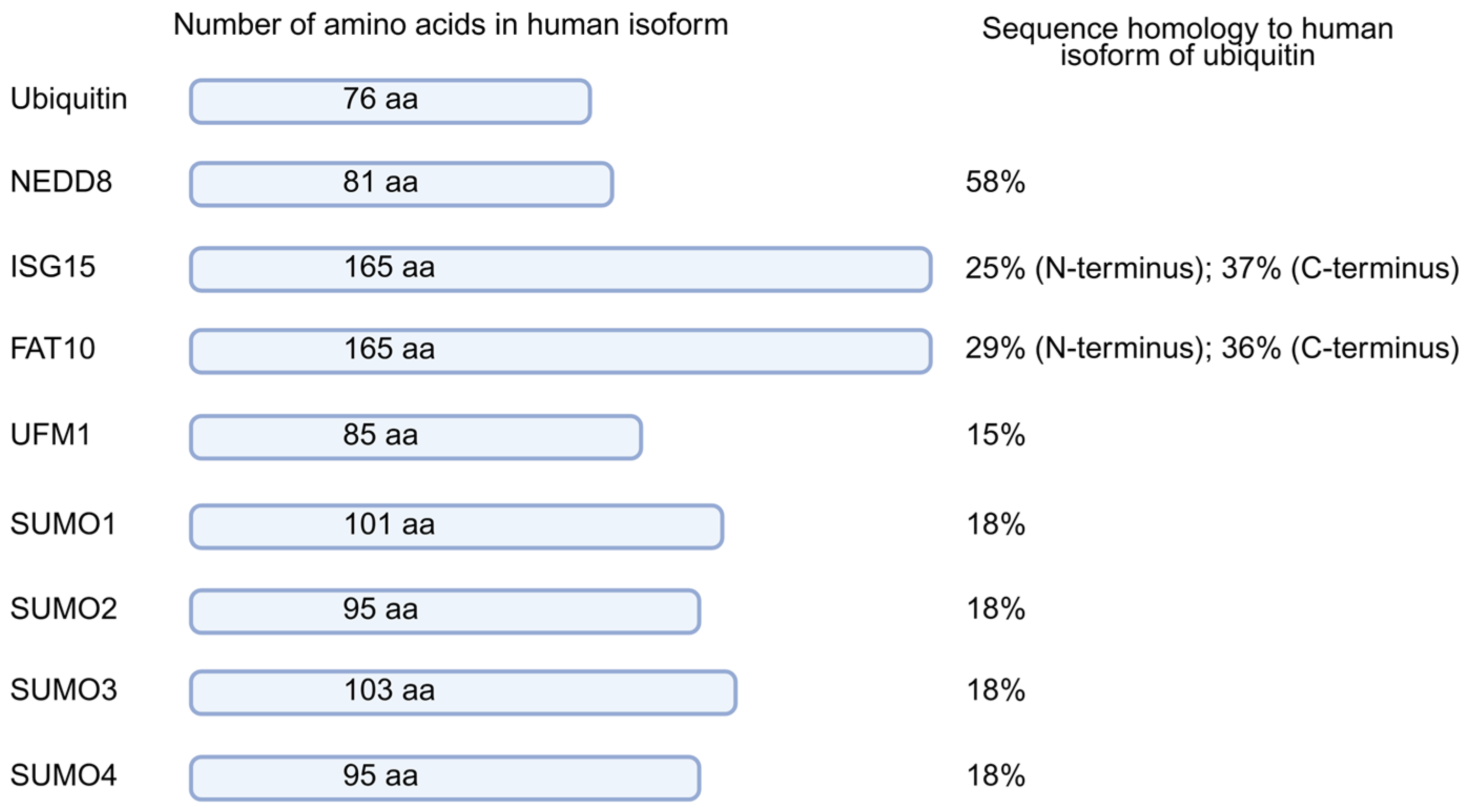 Cells 15 01060 g002 Cells 15 01060 g002