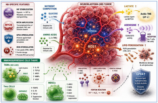 The Architecture of Immune Escape in Neuroblastoma: Plasticity