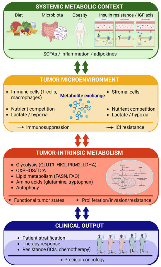 Determinants of Colorectal Cancer: An Integrative Immunometabolic