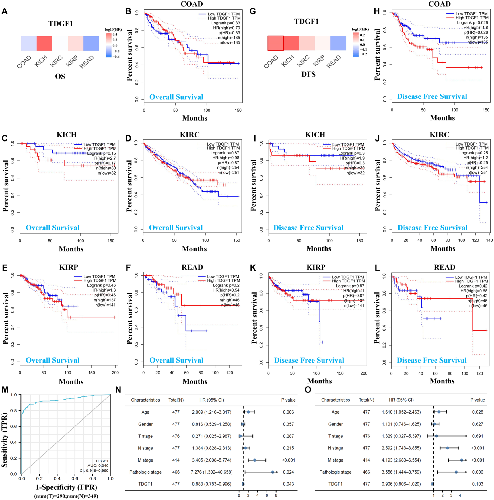 Cells 15 01141 g001 Cells 15 01141 g001