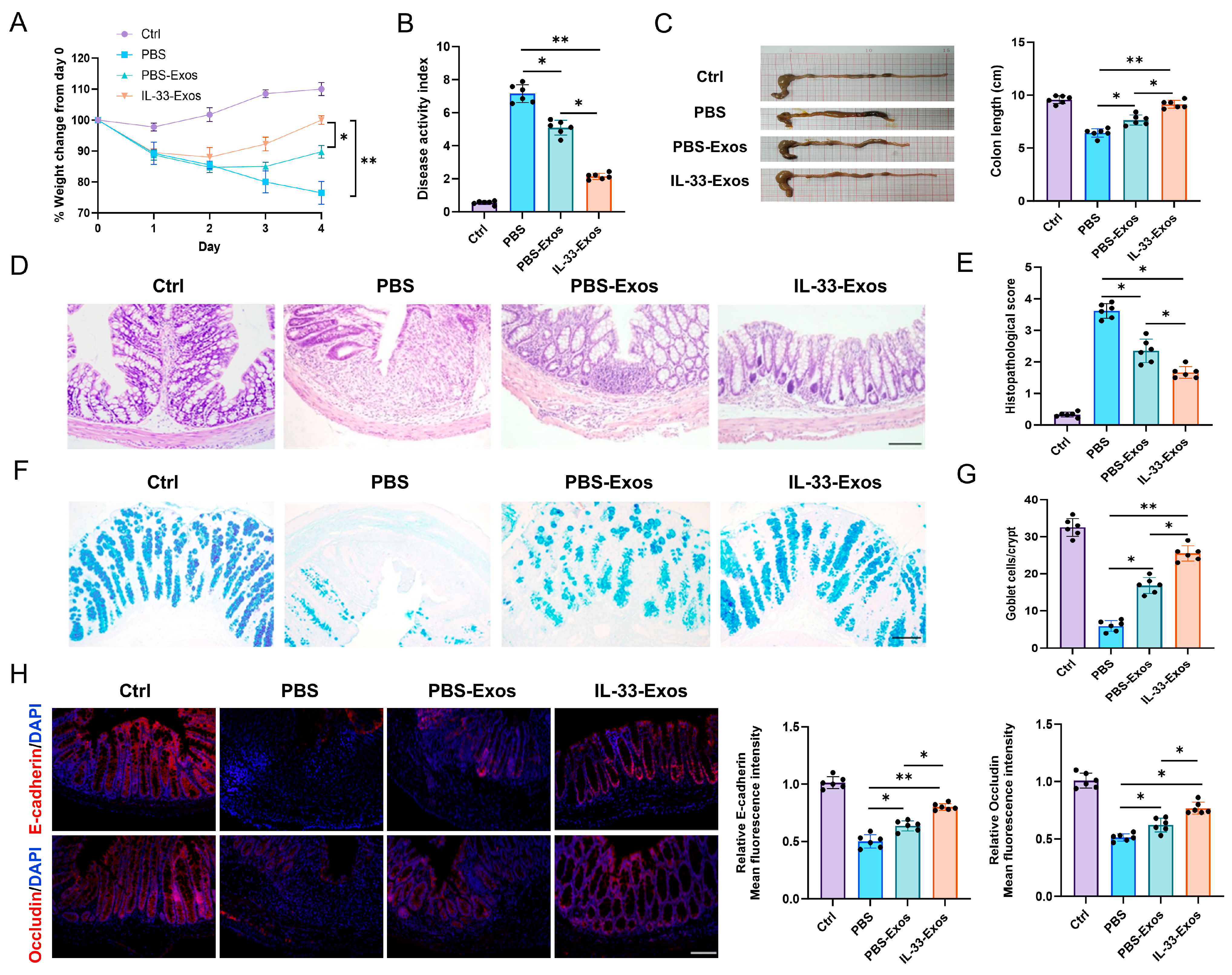Cells 15 01217 g002 Cells 15 01217 g002