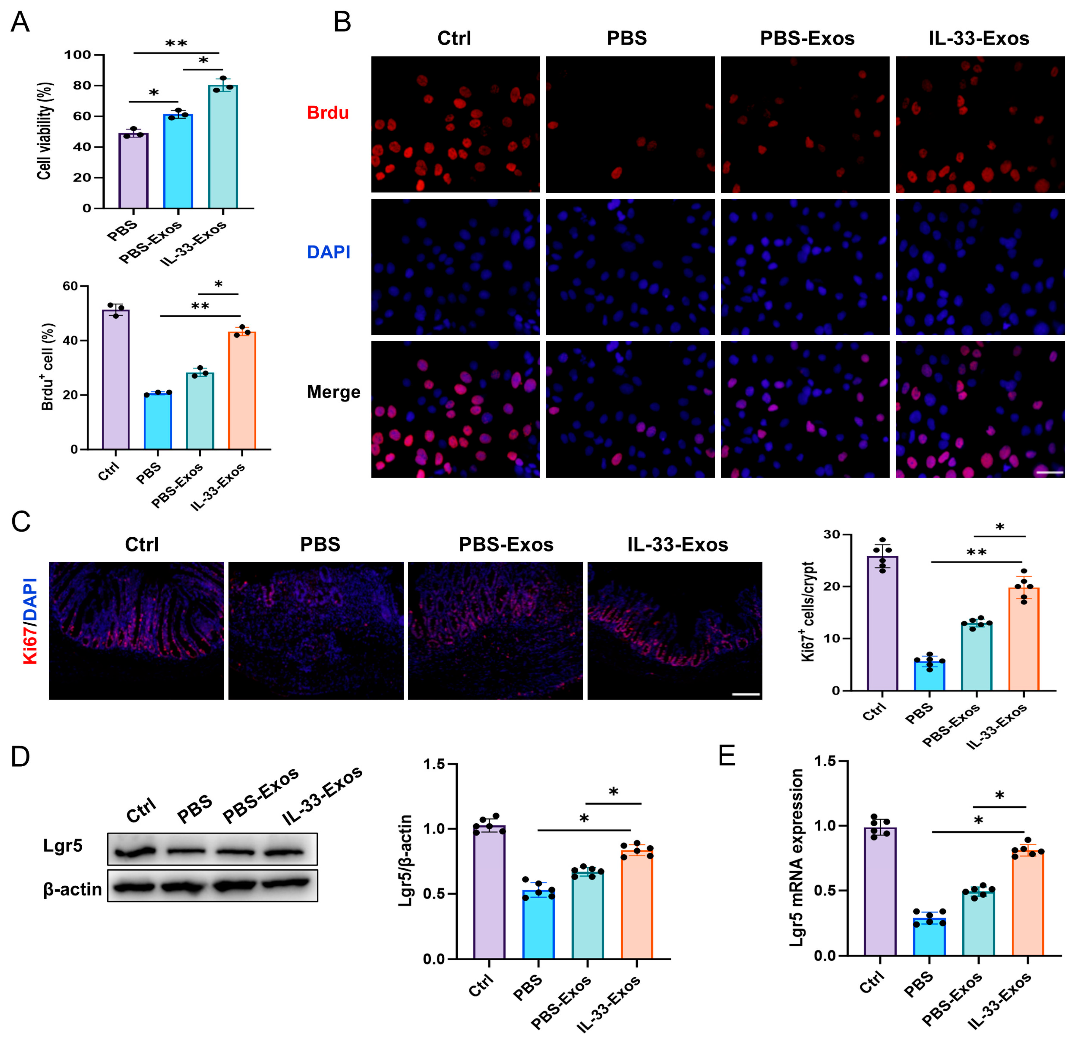 Cells 15 01217 g003 Cells 15 01217 g003