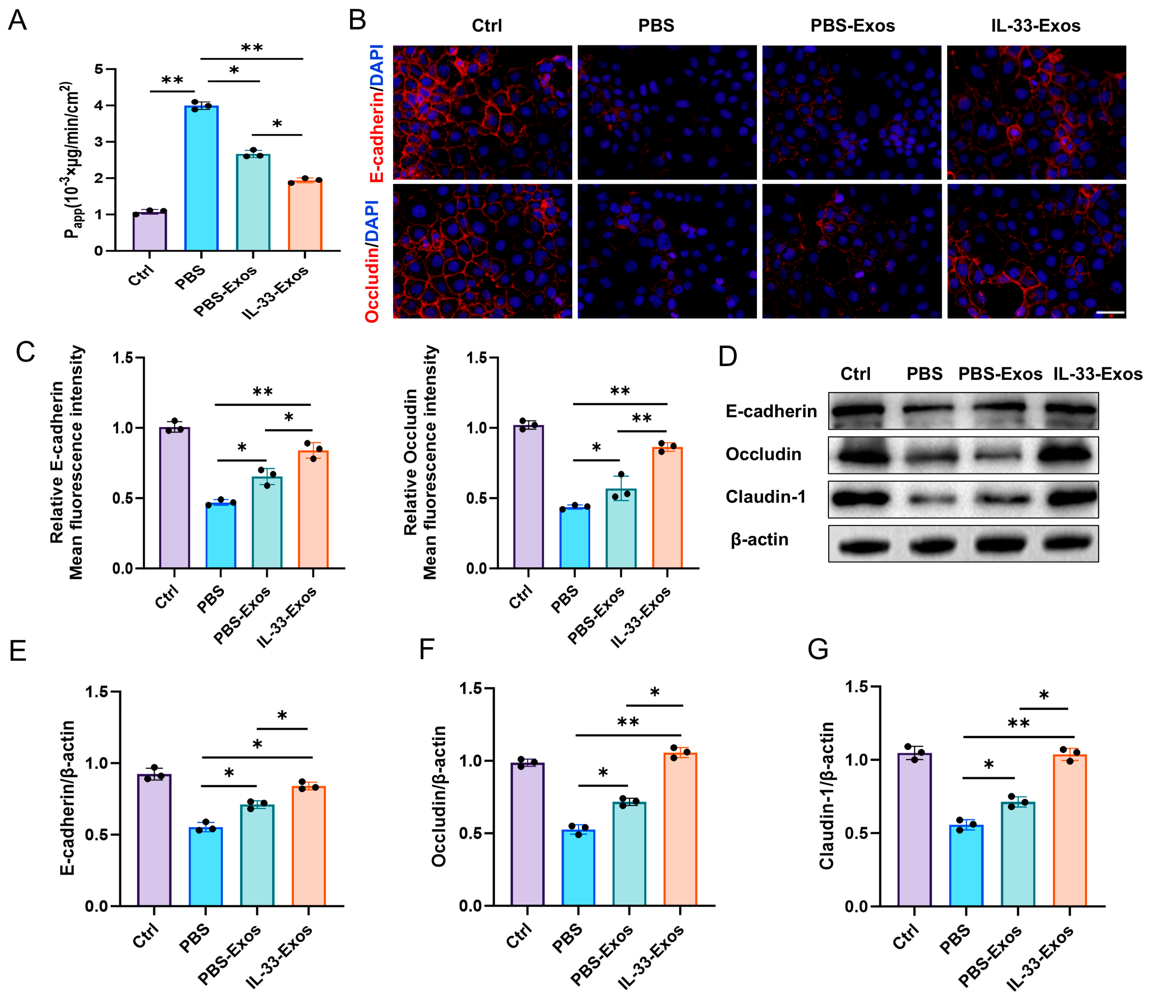 Cells 15 01217 g004 Cells 15 01217 g004