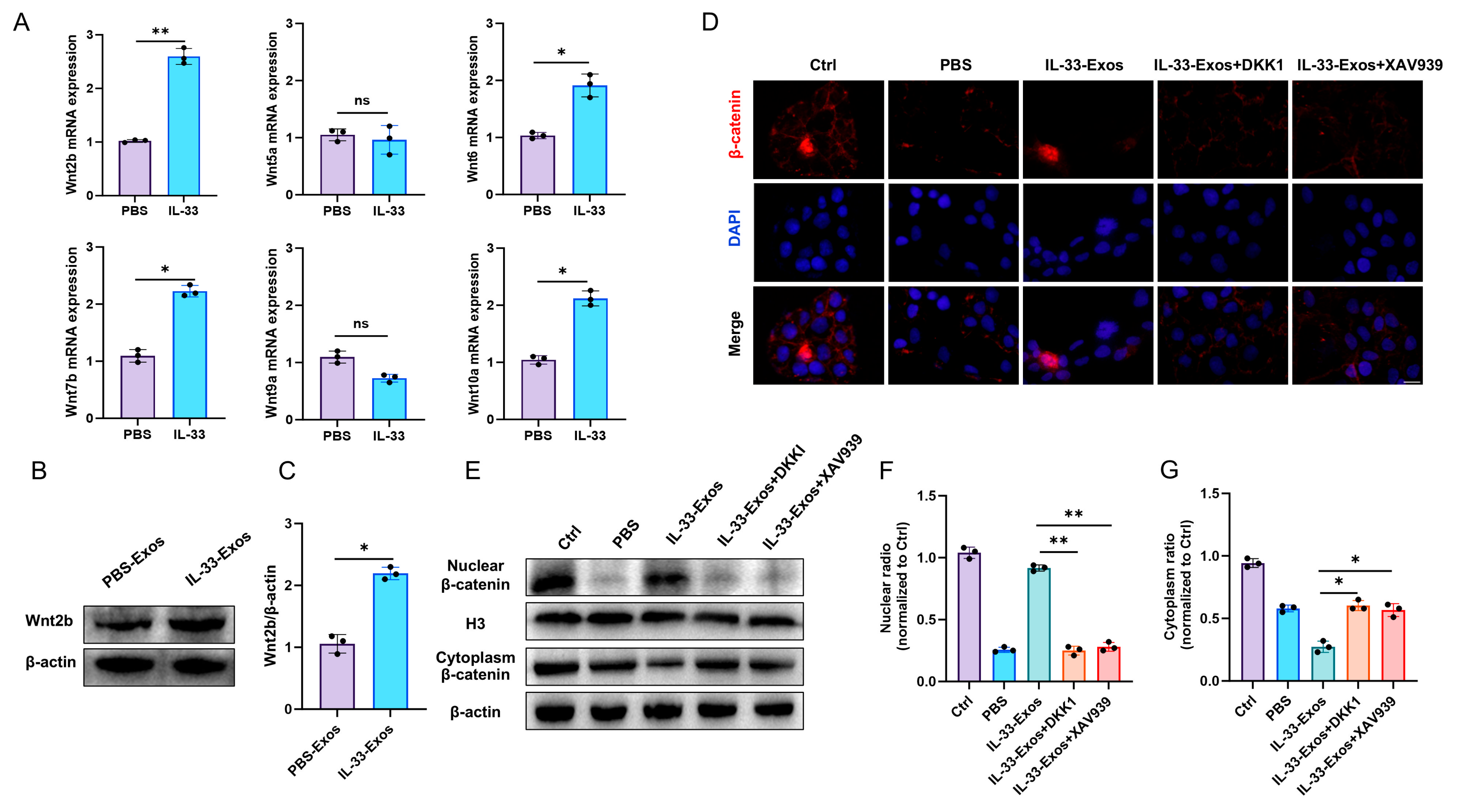 Cells 15 01217 g005 Cells 15 01217 g005