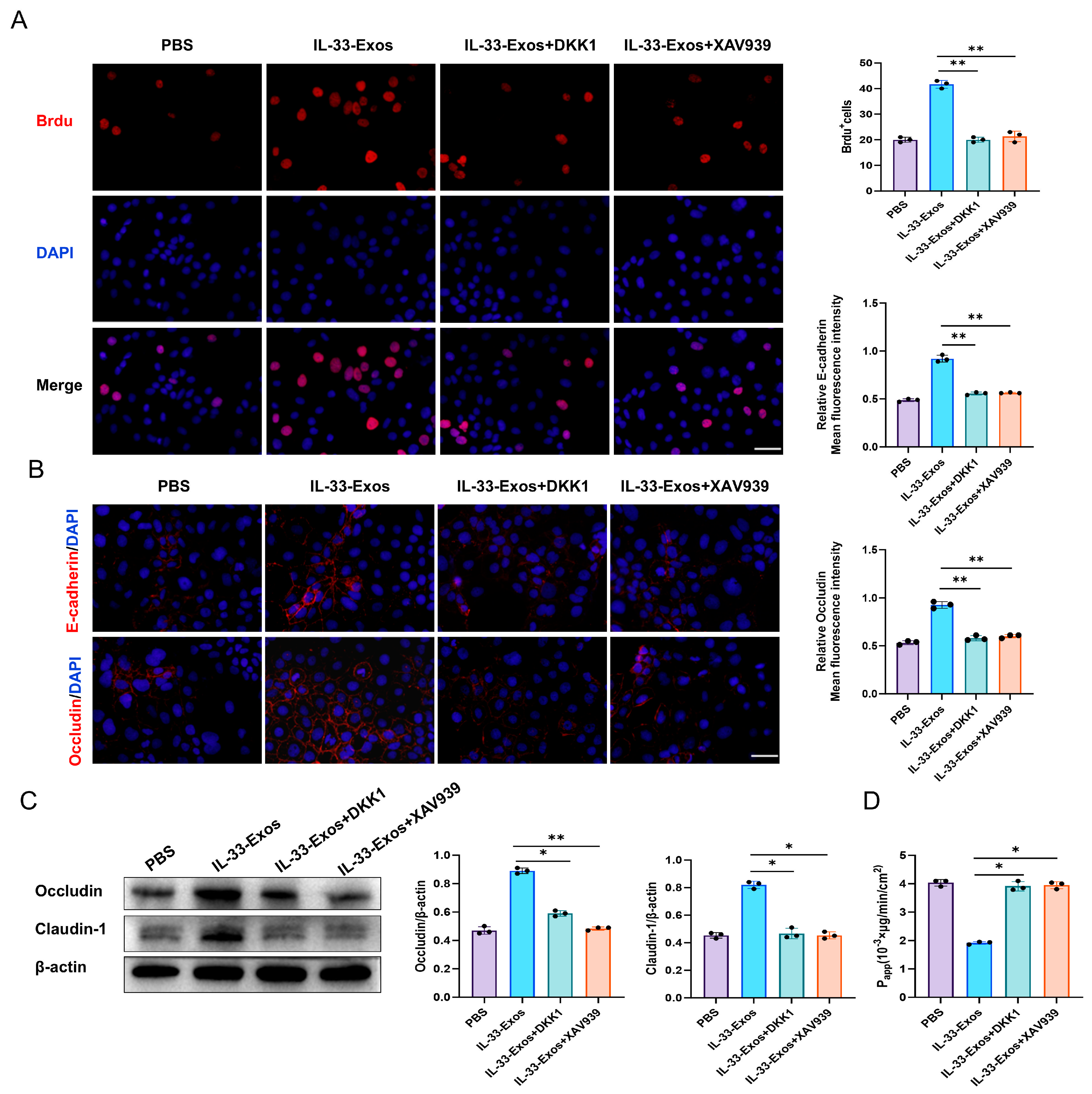 Cells 15 01217 g006 Cells 15 01217 g006