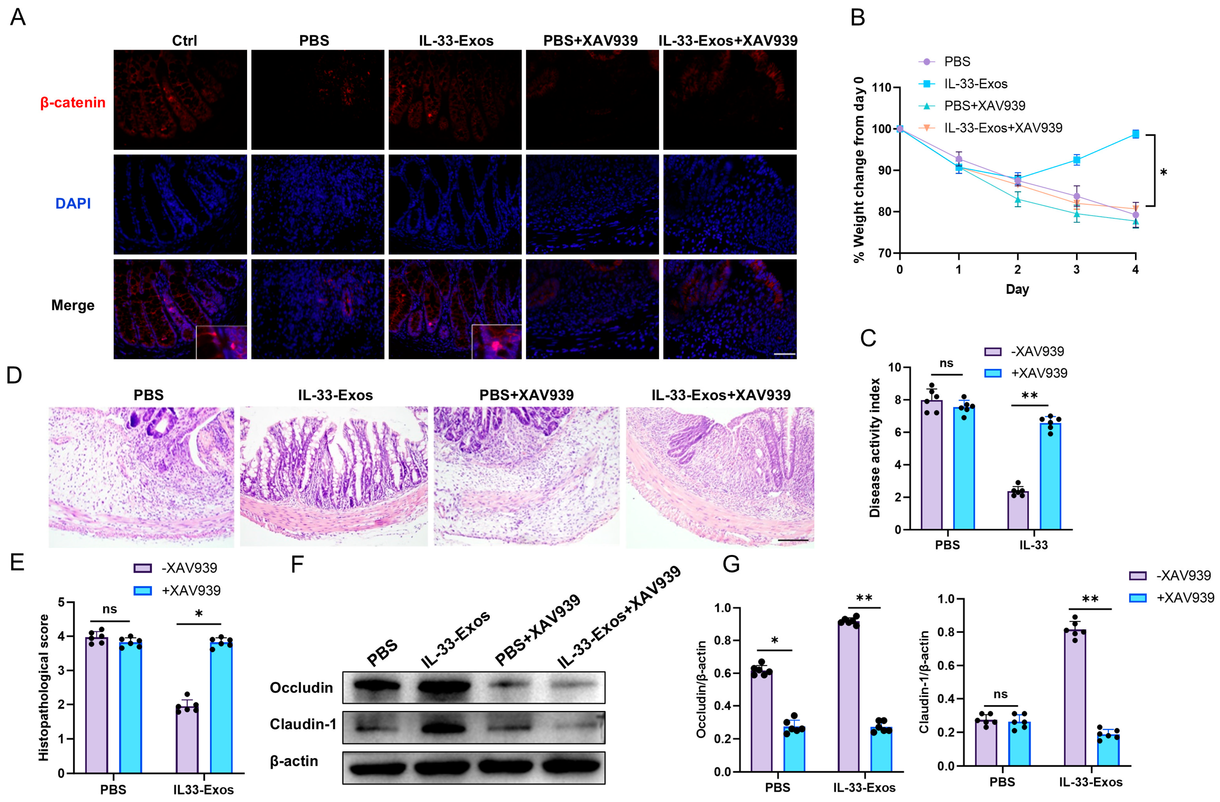 Cells 15 01217 g007 Cells 15 01217 g007