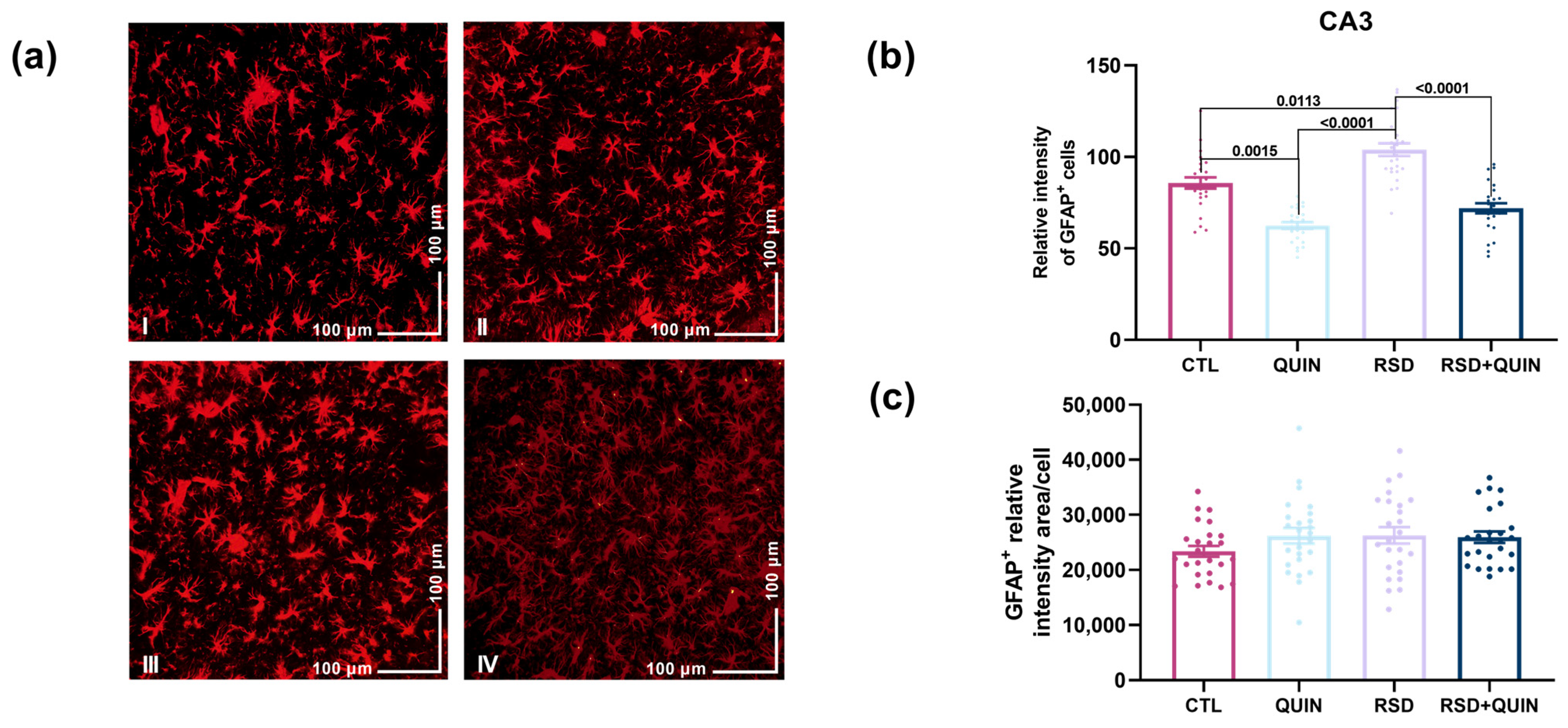 Cells 15 01224 g003 Cells 15 01224 g003