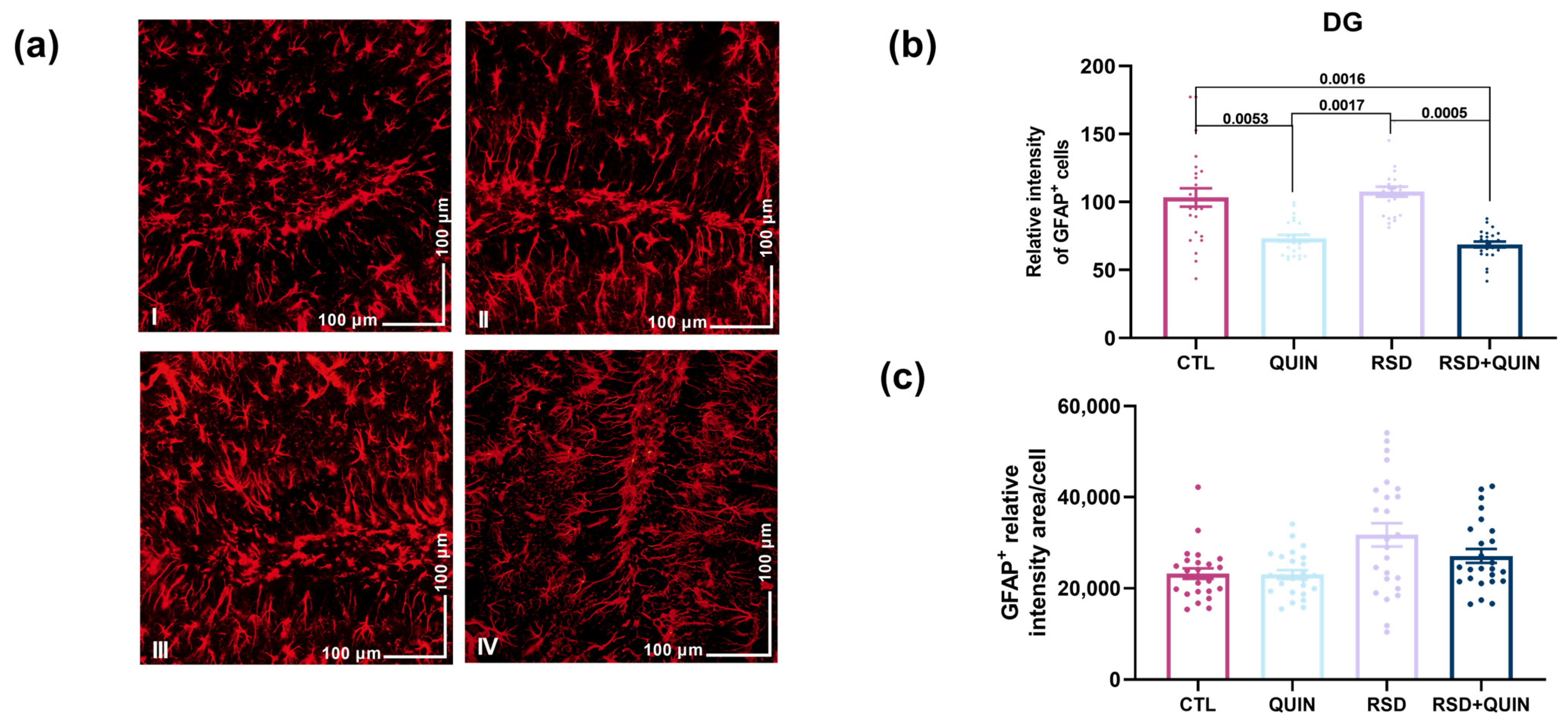 Cells 15 01224 g004 Cells 15 01224 g004