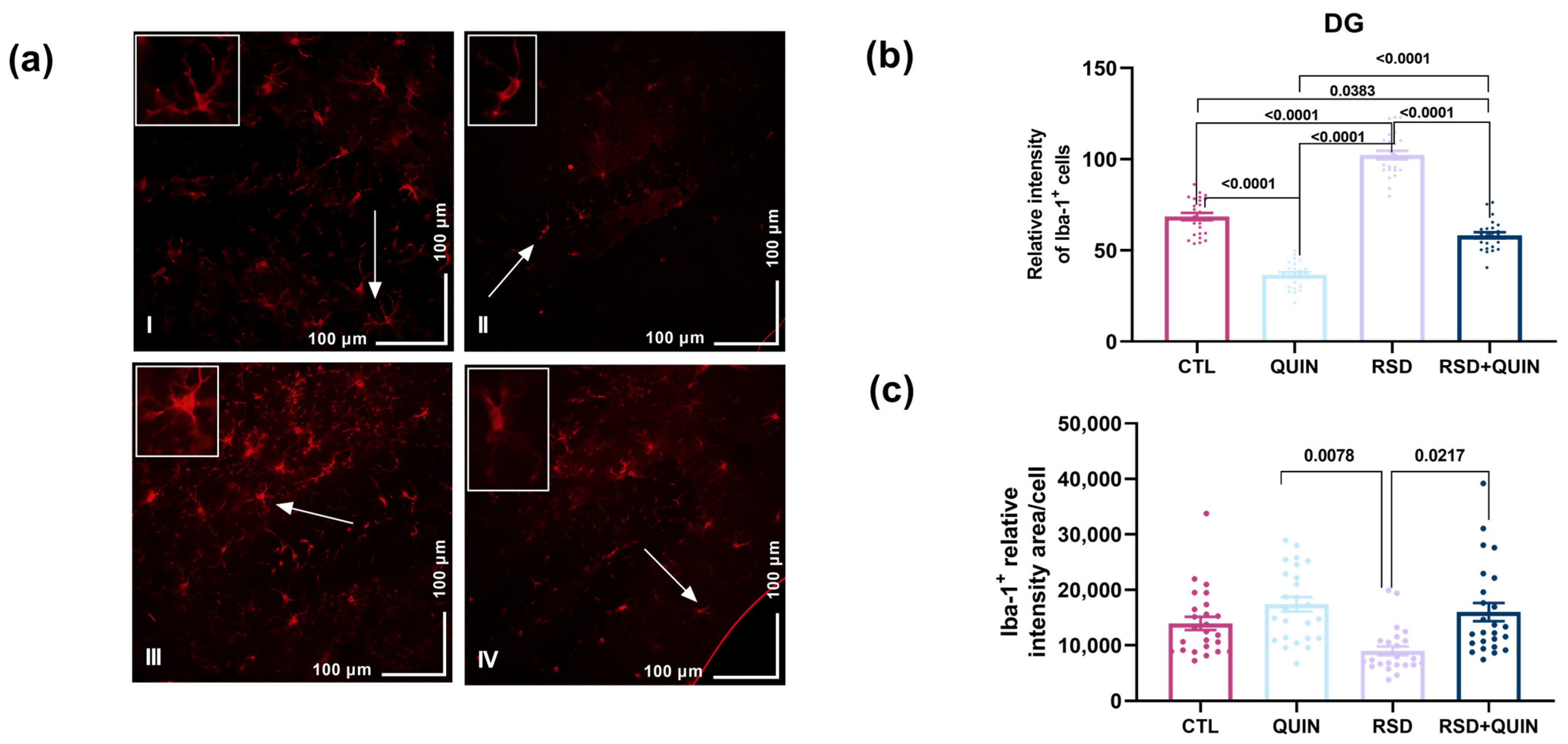 Cells 15 01224 g008 Cells 15 01224 g008
