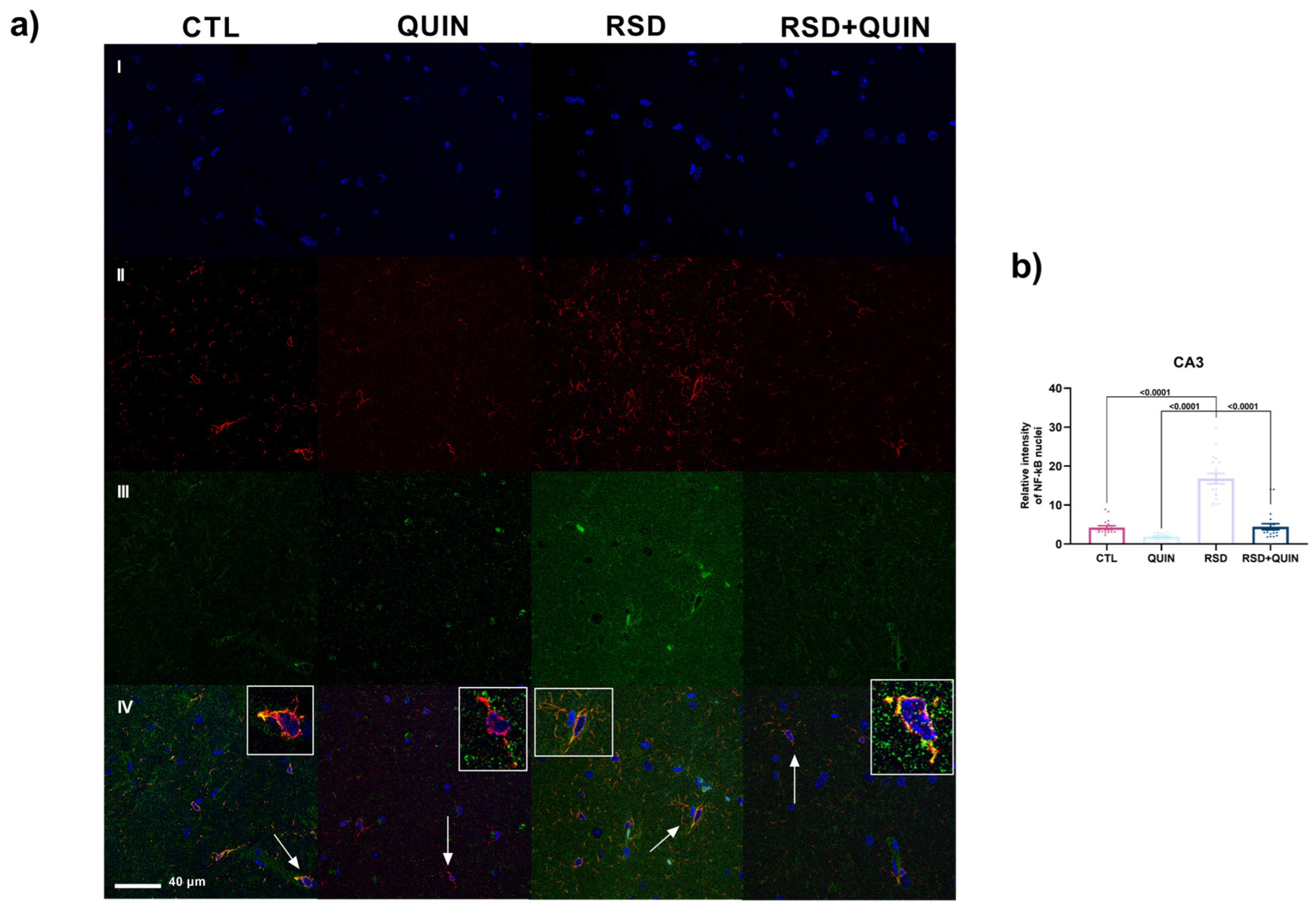 Cells 15 01224 g011 Cells 15 01224 g011