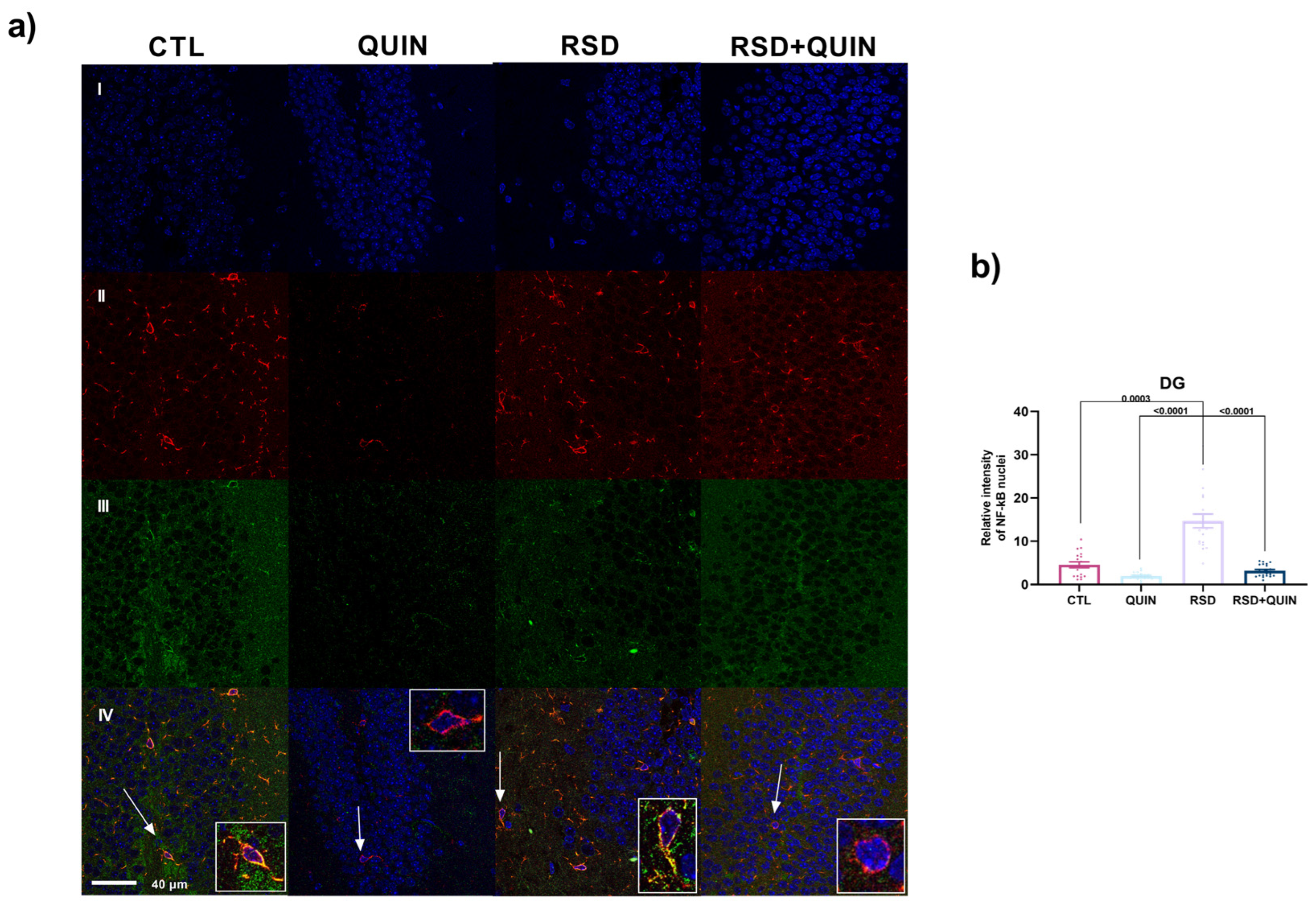 Cells 15 01224 g012 Cells 15 01224 g012