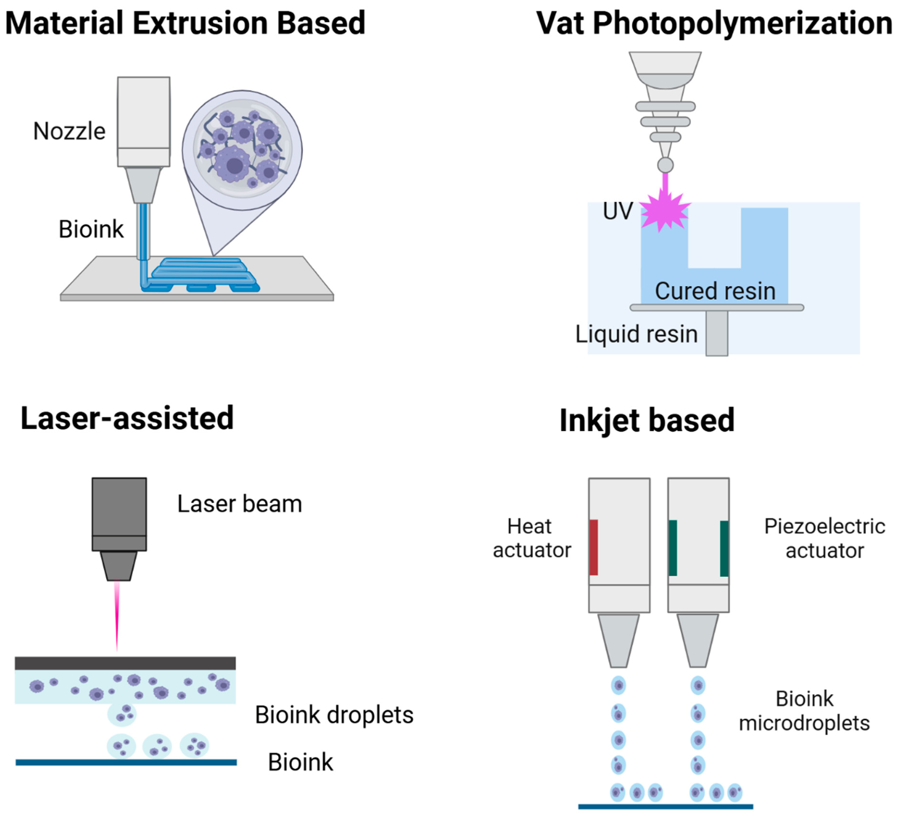 Vascularization in Biofabrication: Innovative Strategies for