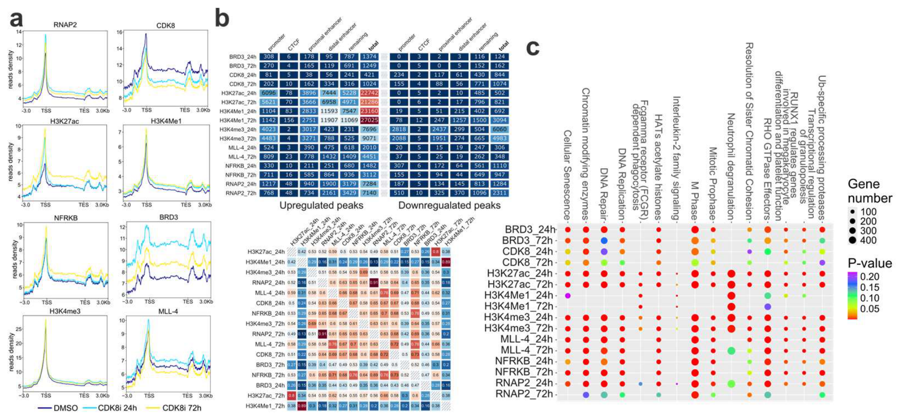 Cells 15 01414 g006 Cells 15 01414 g006
